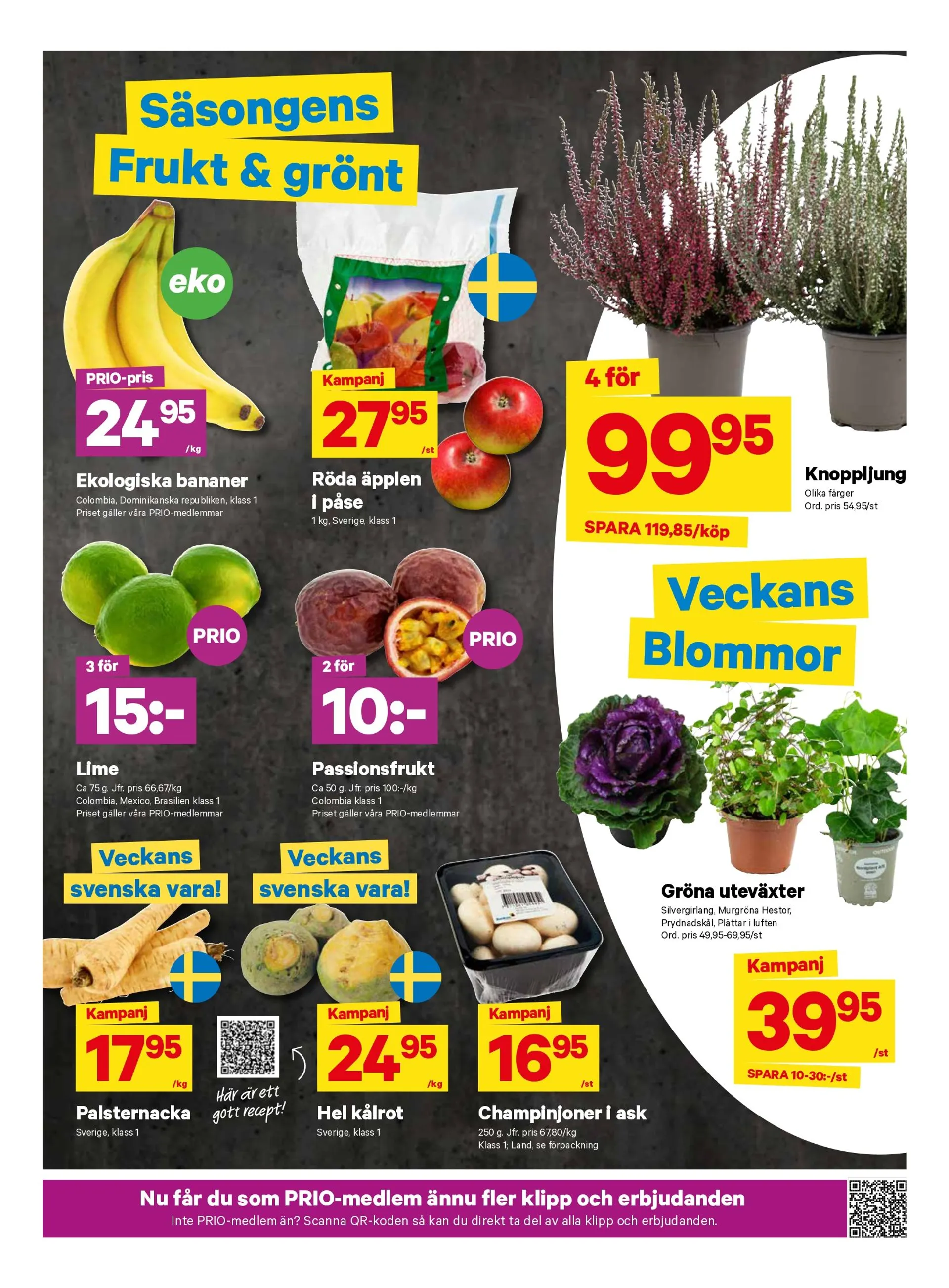 City Grosss specialerbjudanden från 9 september till 15 september 2024 - Reklamblad sidor 3