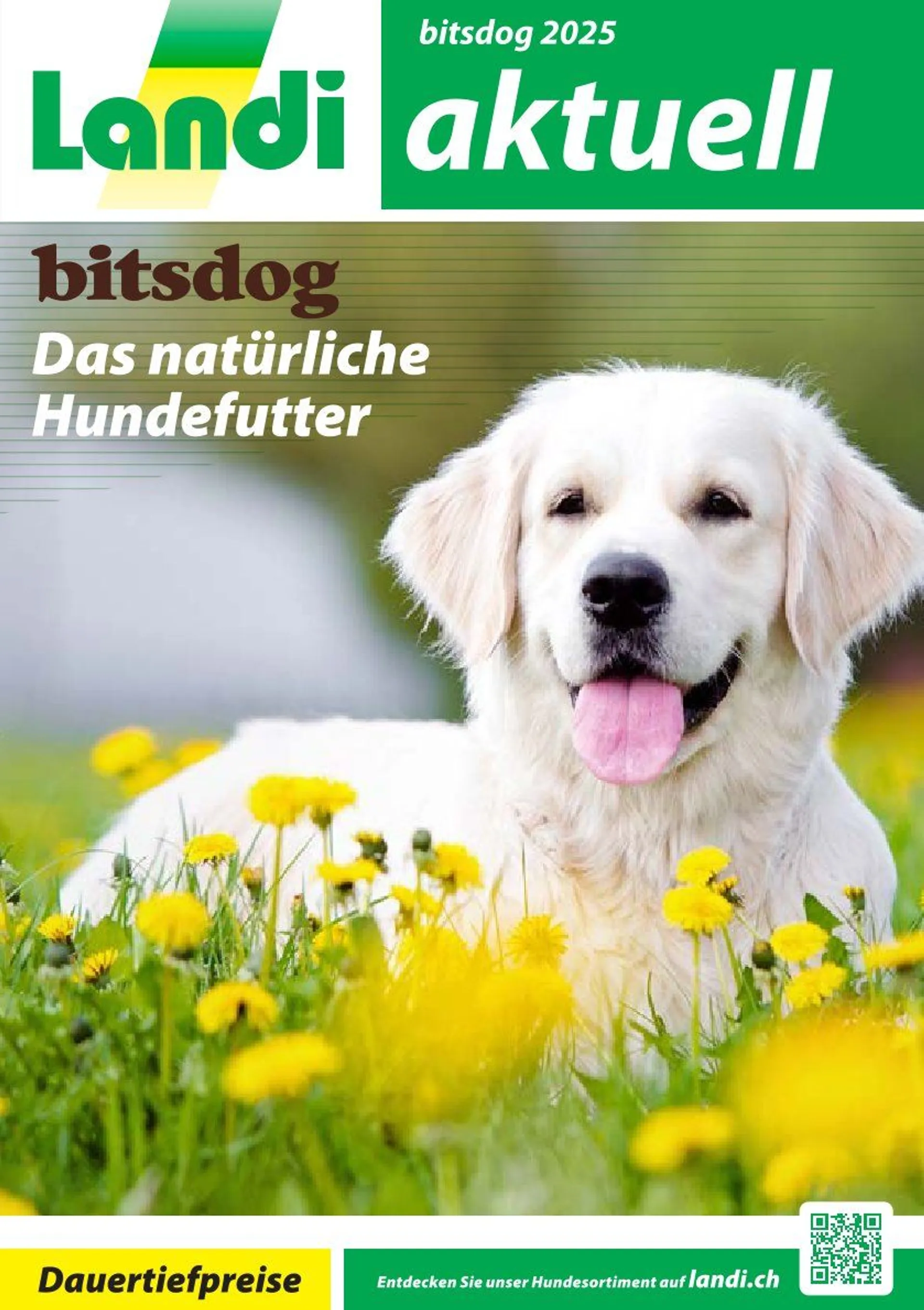 LANDI - bitsdog von 13. Januar bis 31. Dezember 2025 - Prospekt seite  