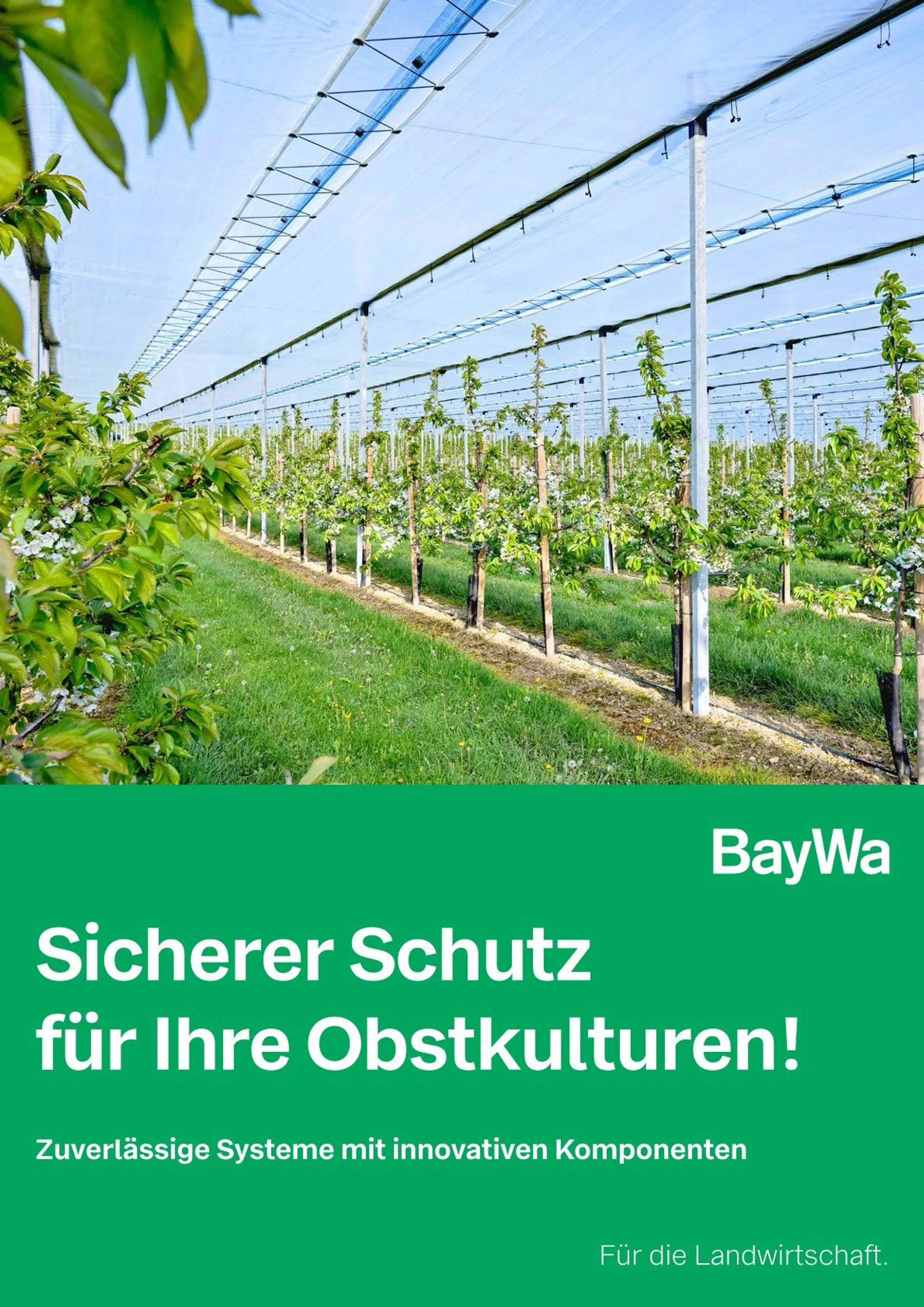 DE - BayWa von 13. Februar bis 28. Februar 2025 - Prospekt seite 1