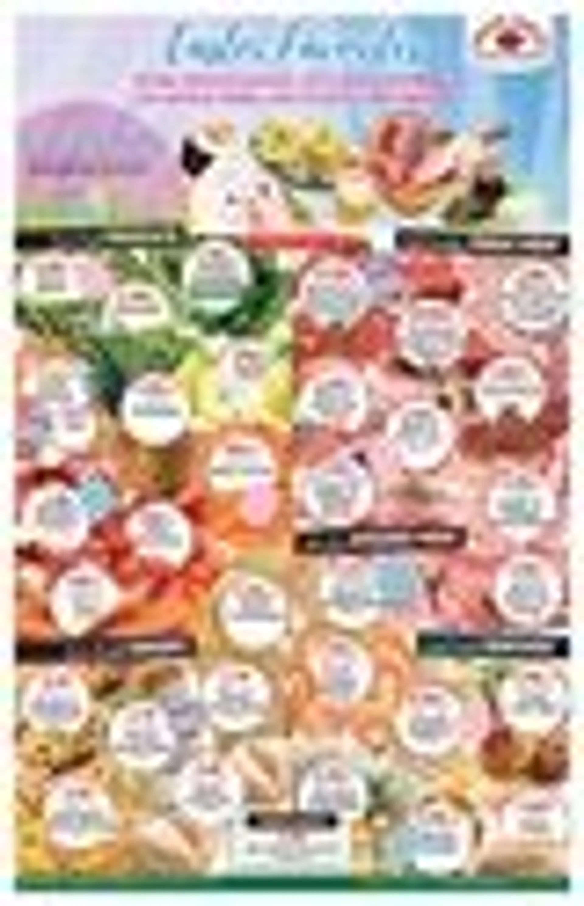 Weekly ad Shady Maple Deals from April 17 to April 22 2025 - Page 