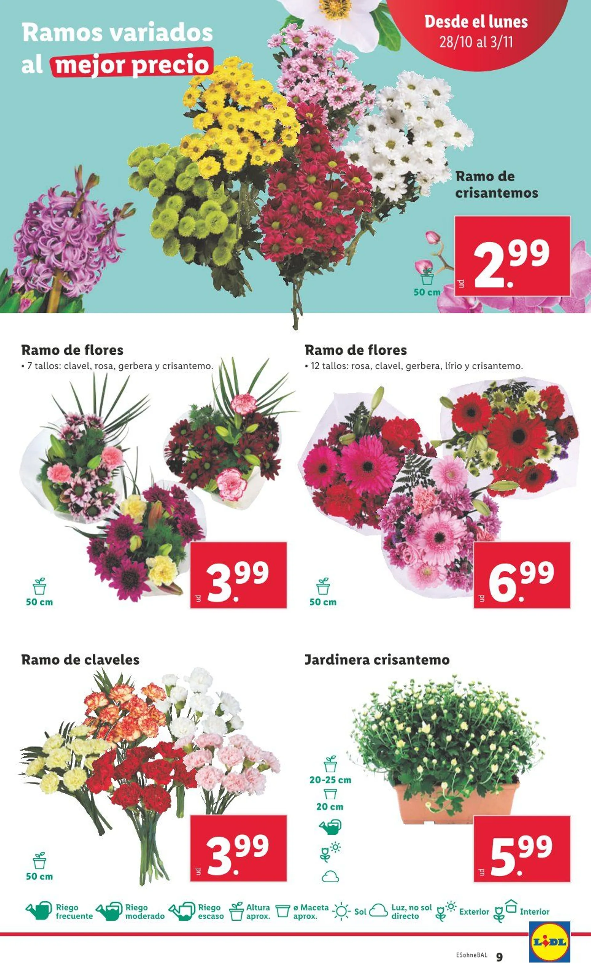 Catálogo de Lidl Ofertas 28 de octubre al 3 de noviembre 2024 - Página 11