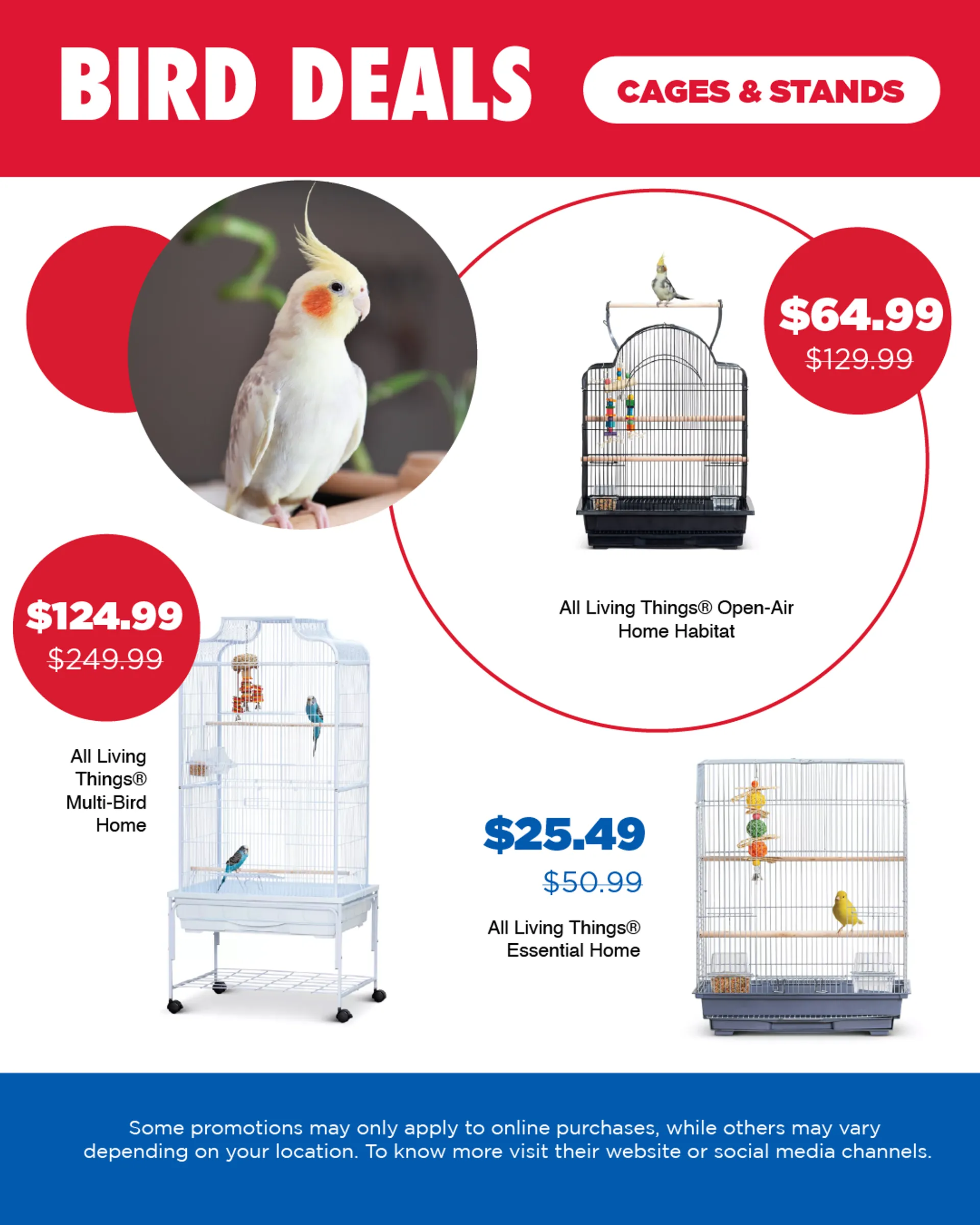 Weekly ad Weekly ads from May 15 to May 31 2025 - Page 11