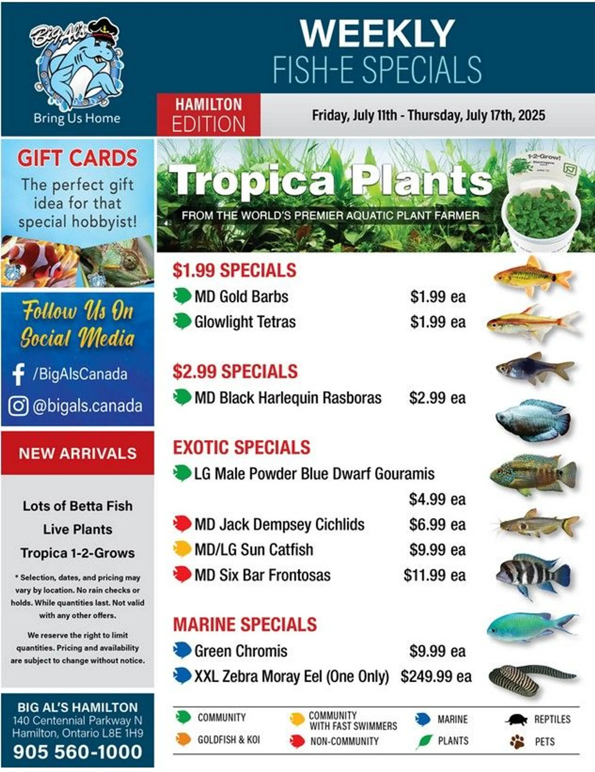 Big Al's Pets Sales from July 11 to July 17 2025 - flyer page 1