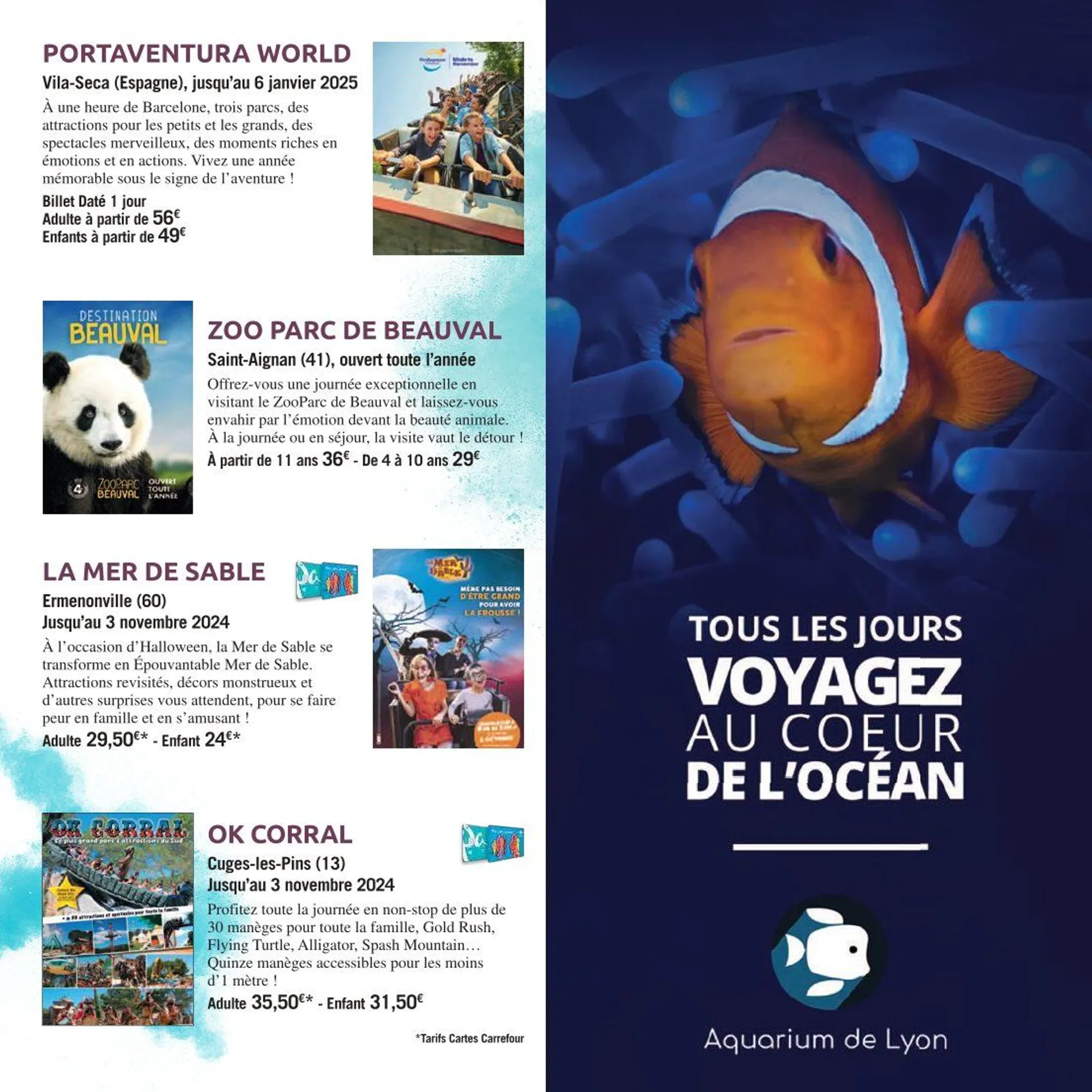 Carrefour Brochures Offres du 17 octobre au 28 février 2025 - Catalogue page 13