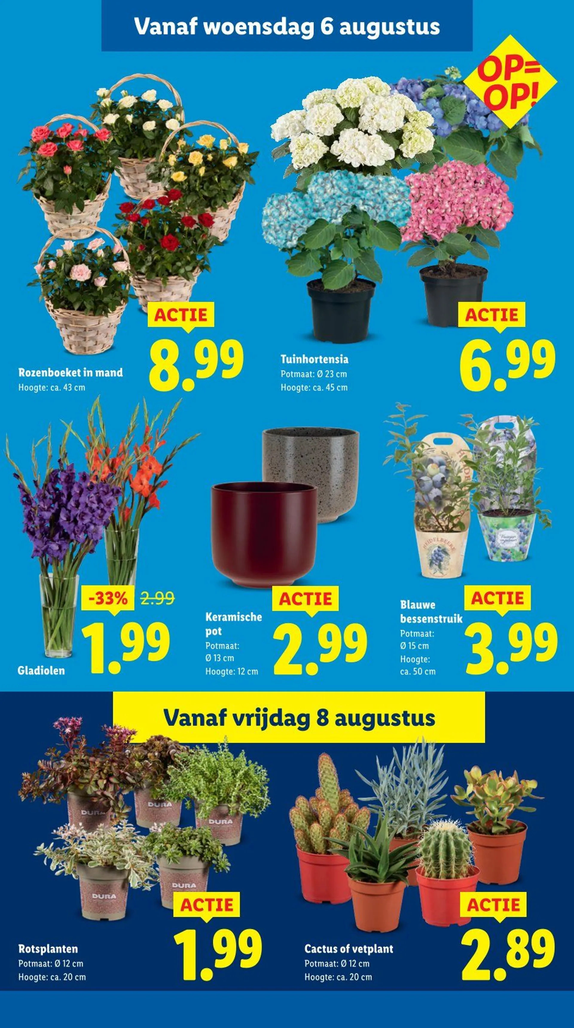 Lidl folders van 4 augustus tot 10 augustus 2025 - Folder pagina 14