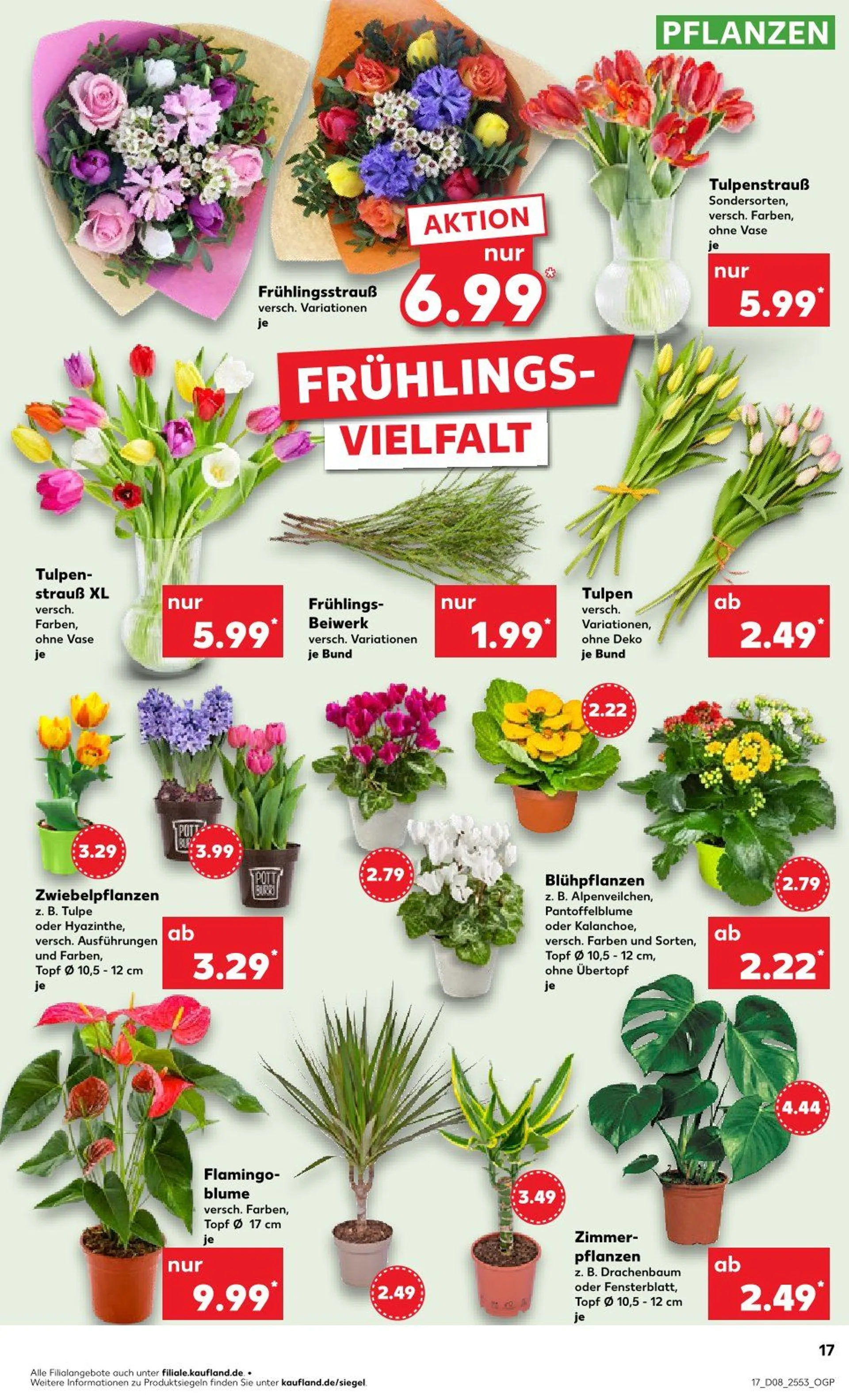 Kaufland Prospekt von 20. Februar bis 26. Februar 2025 - Prospekt seite 17