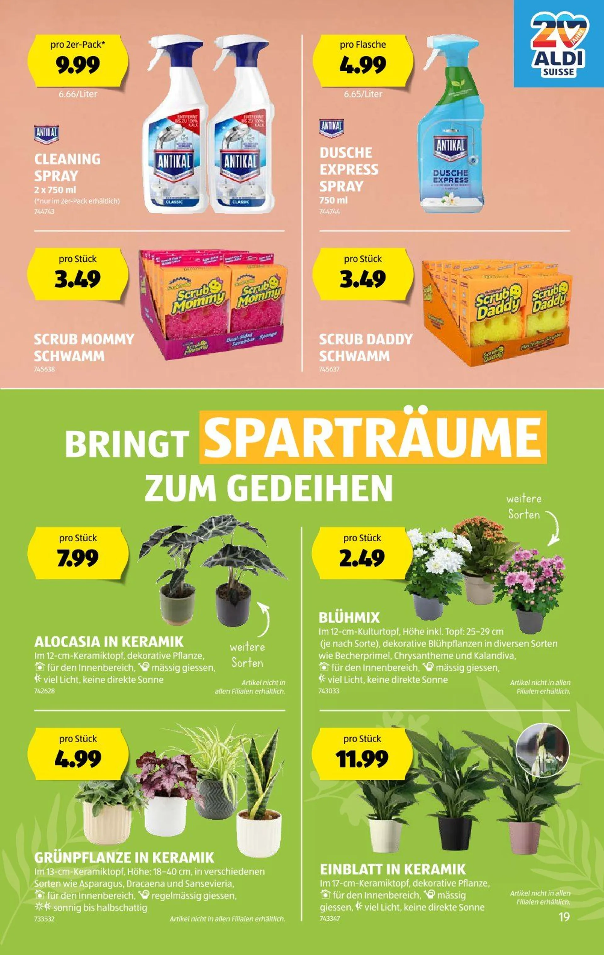 Aldi Prospekte von 16. Januar bis 22. Januar 2025 - Prospekt seite  19