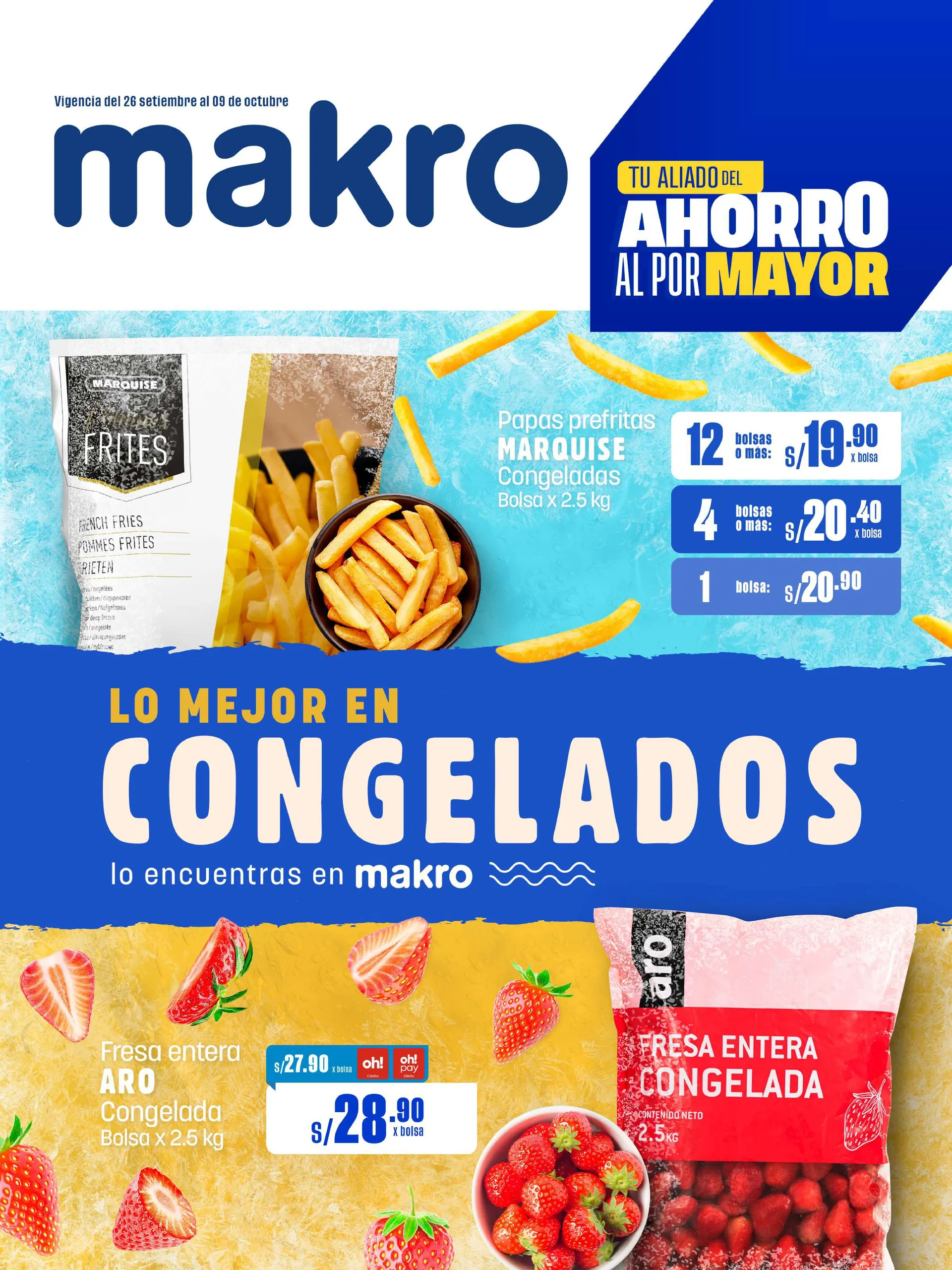 Catalogo de Oferta especial de Makro 26 de setiembre al 9 de octubre 2024 - Pag 