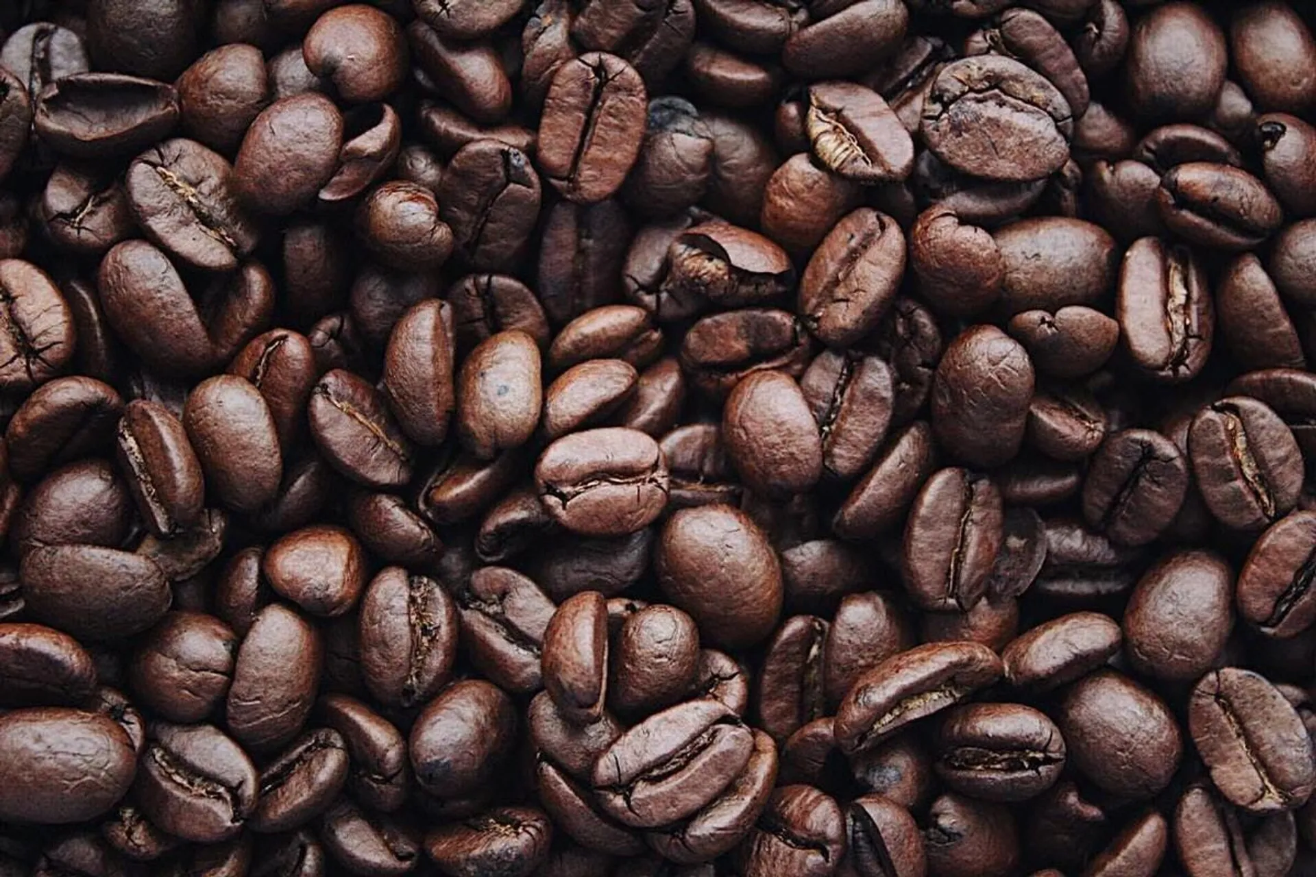 5 máquinas de café económicas que vale a pena comprar em 2023