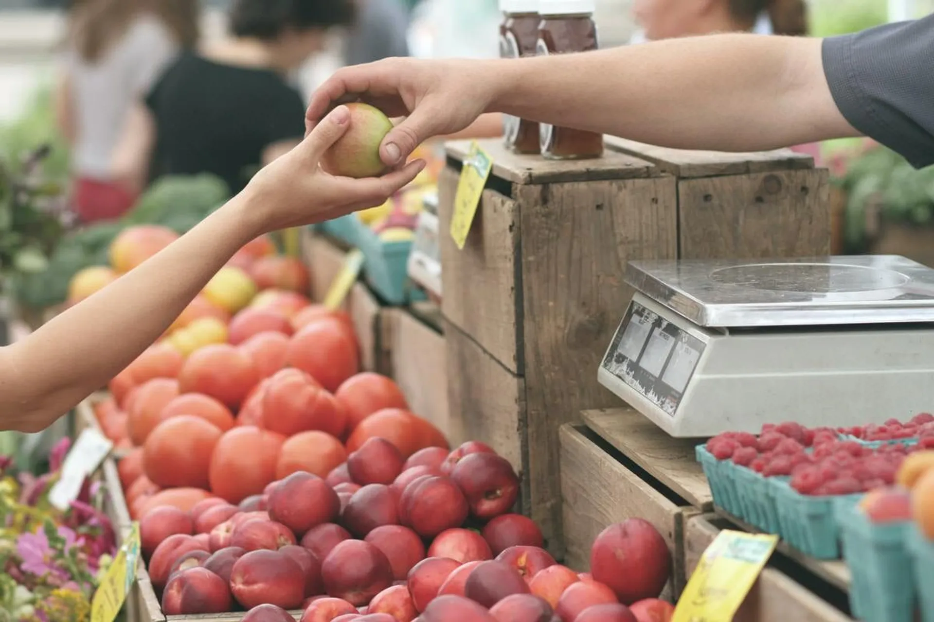 Expert tips to save money on groceries in Canada