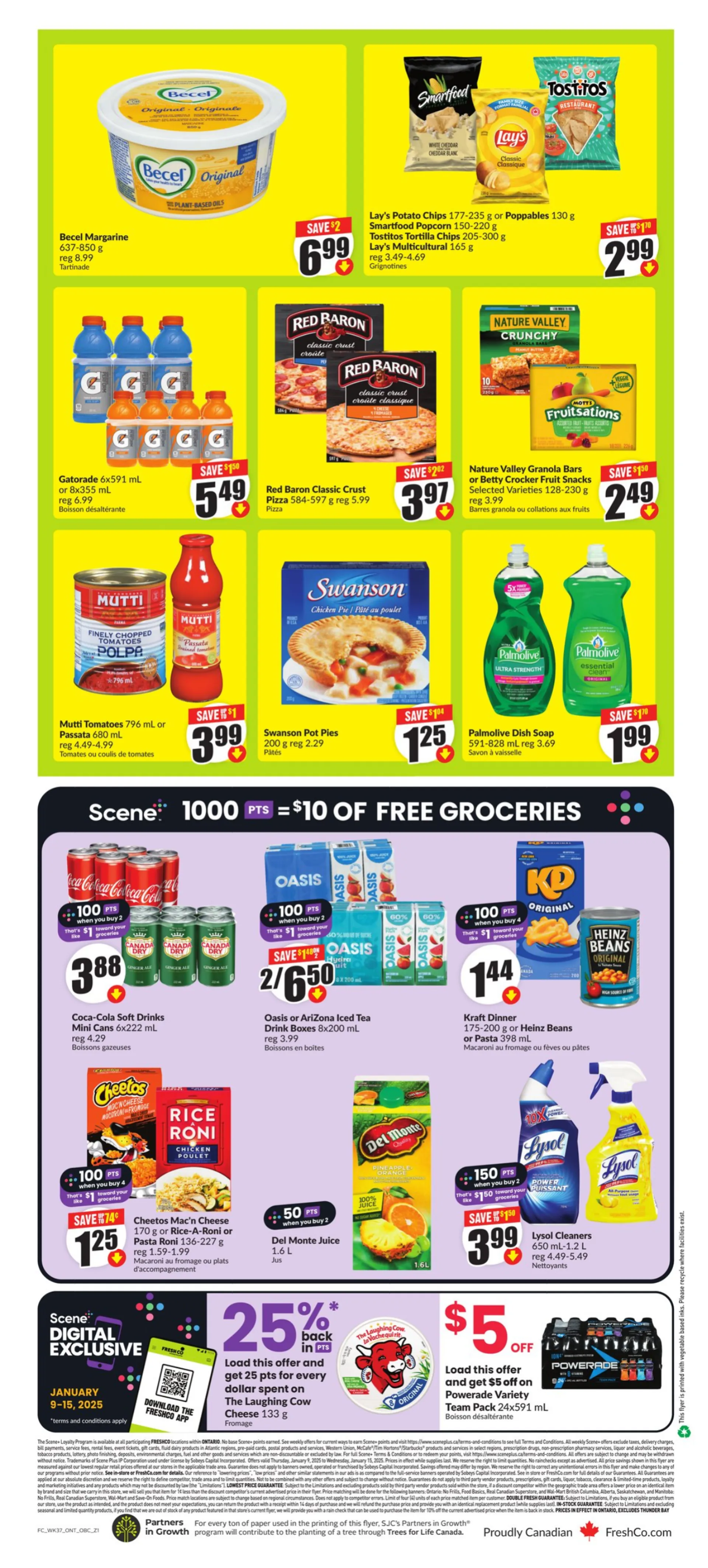 FreshCo. Sales from January 9 to January 15 2025 - flyer page 2