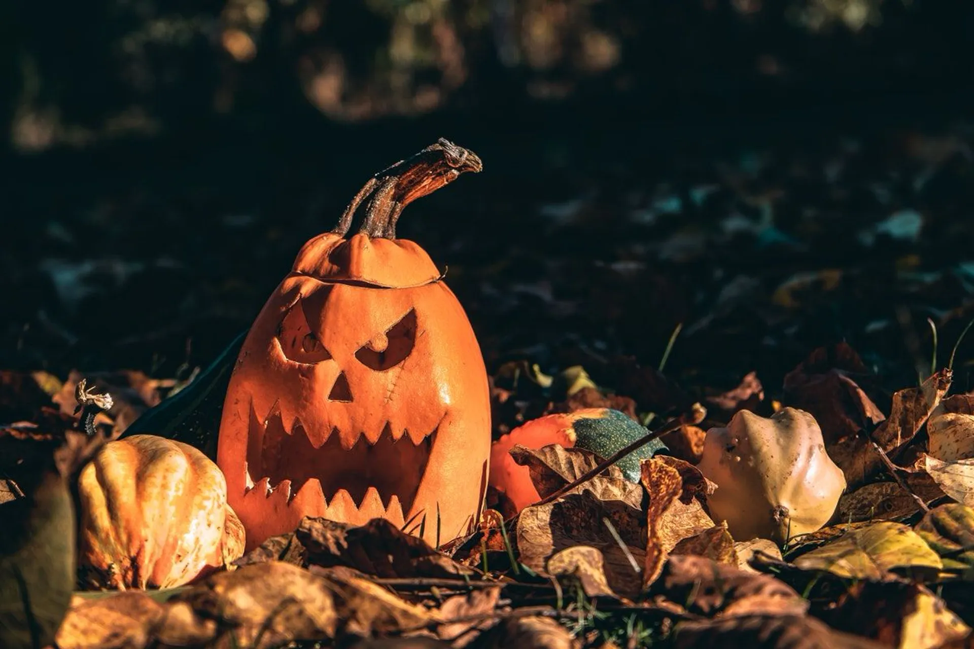 Offerte per un Halloween spettrale: risparmiate su costumi, decorazioni e molto altro!