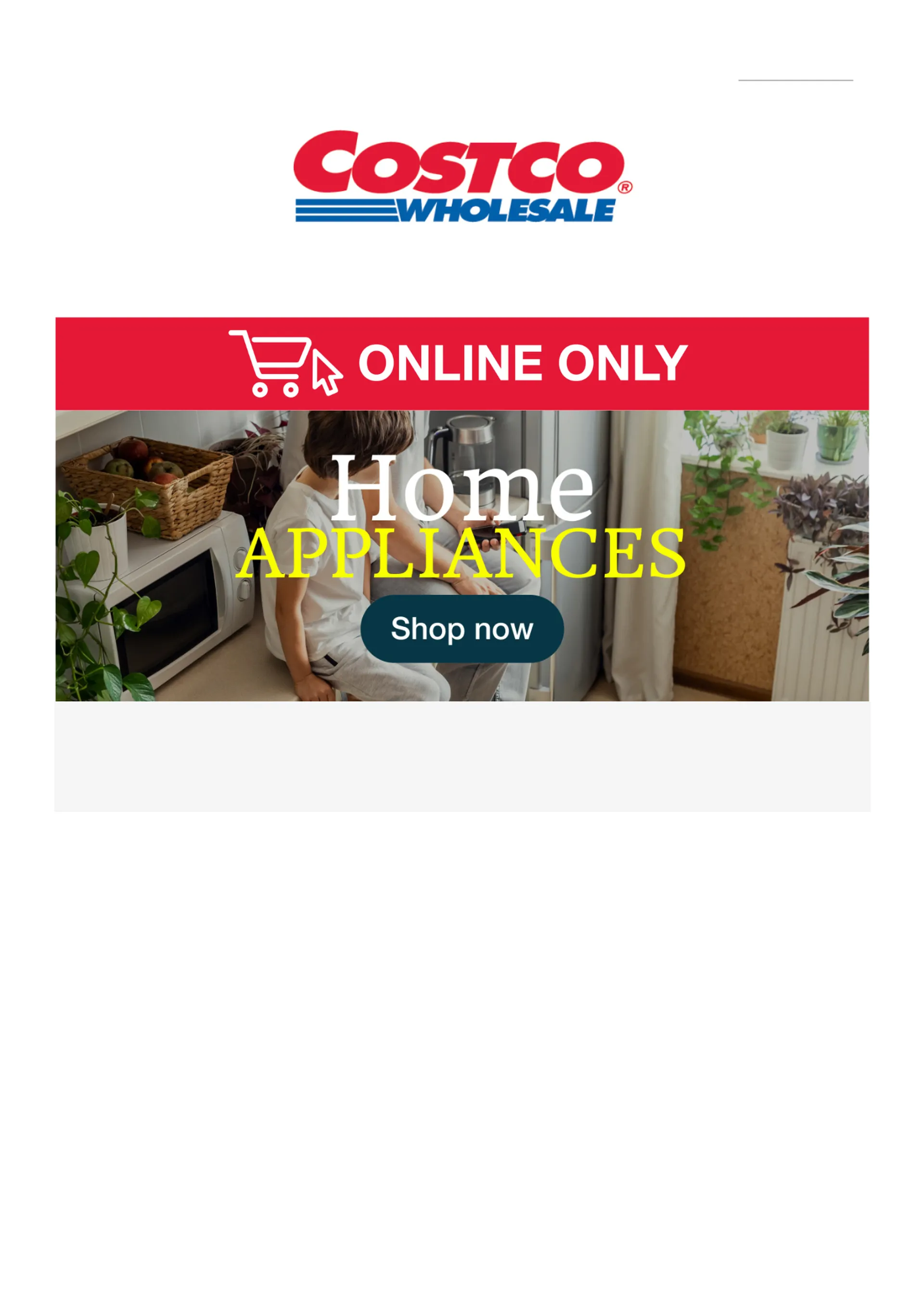 Costco online offers - Catalogue valid from 17 October to 21 October 2024 - page 1