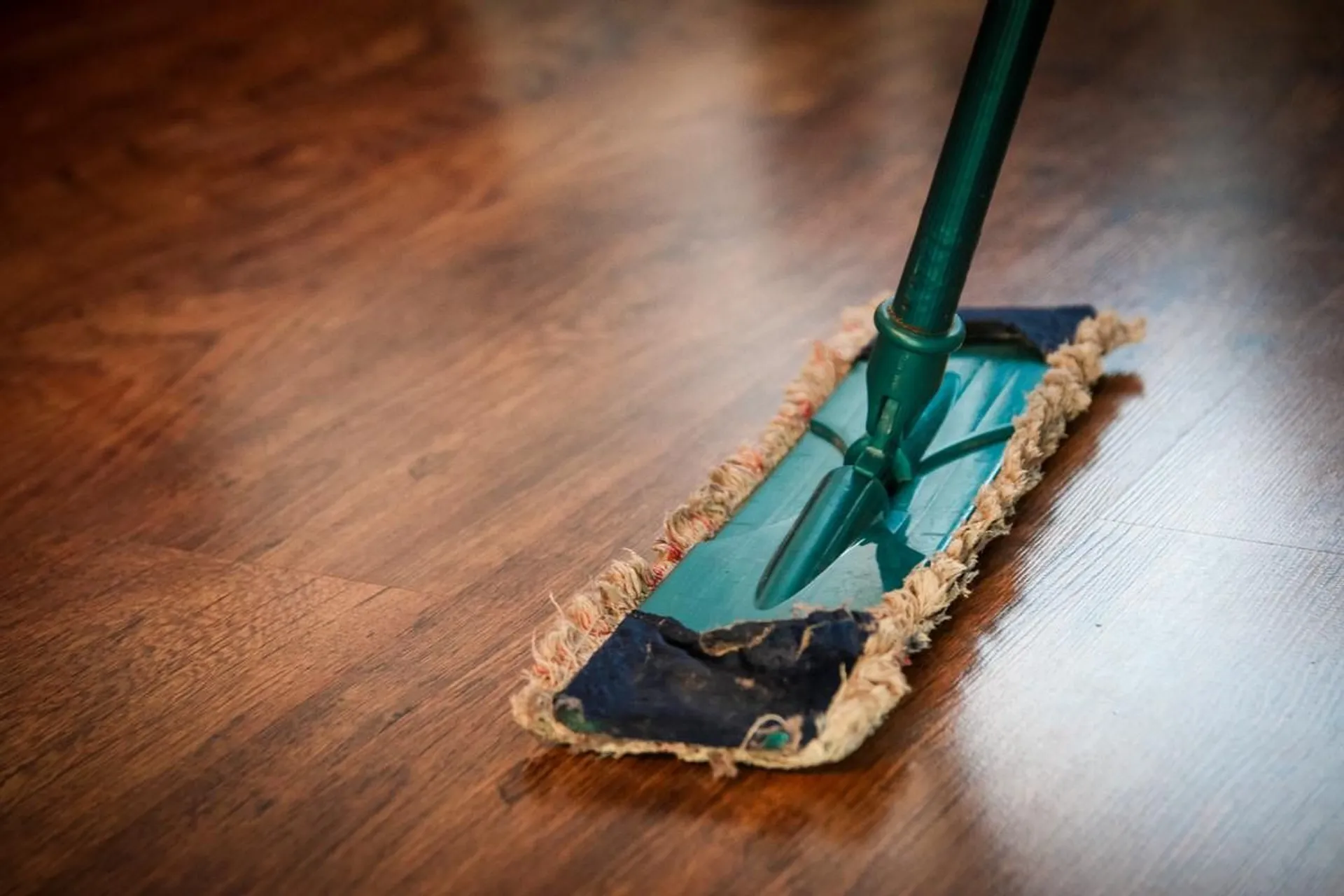 Cinque prodotti economici per pulire la tua casa