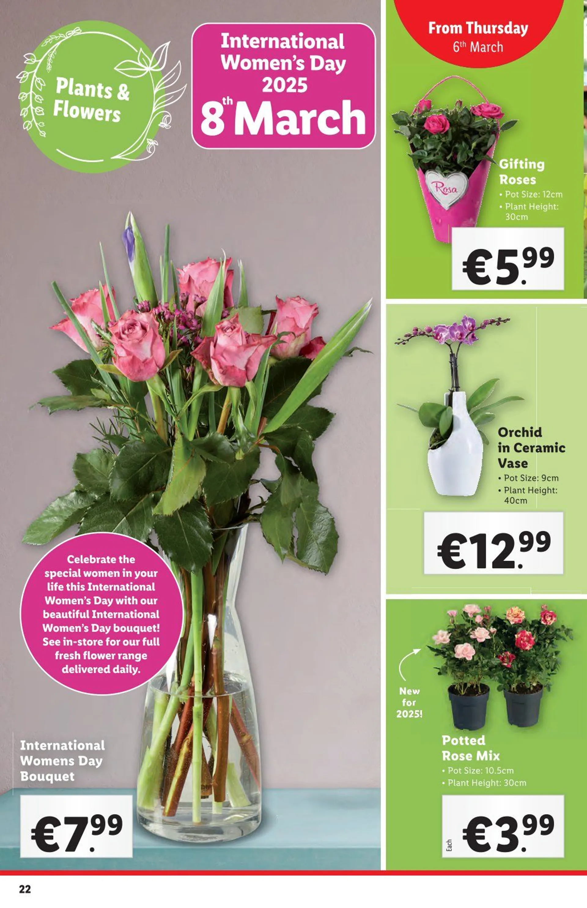 Lidl Sales - 6 March 12 March 2025 - Page 22