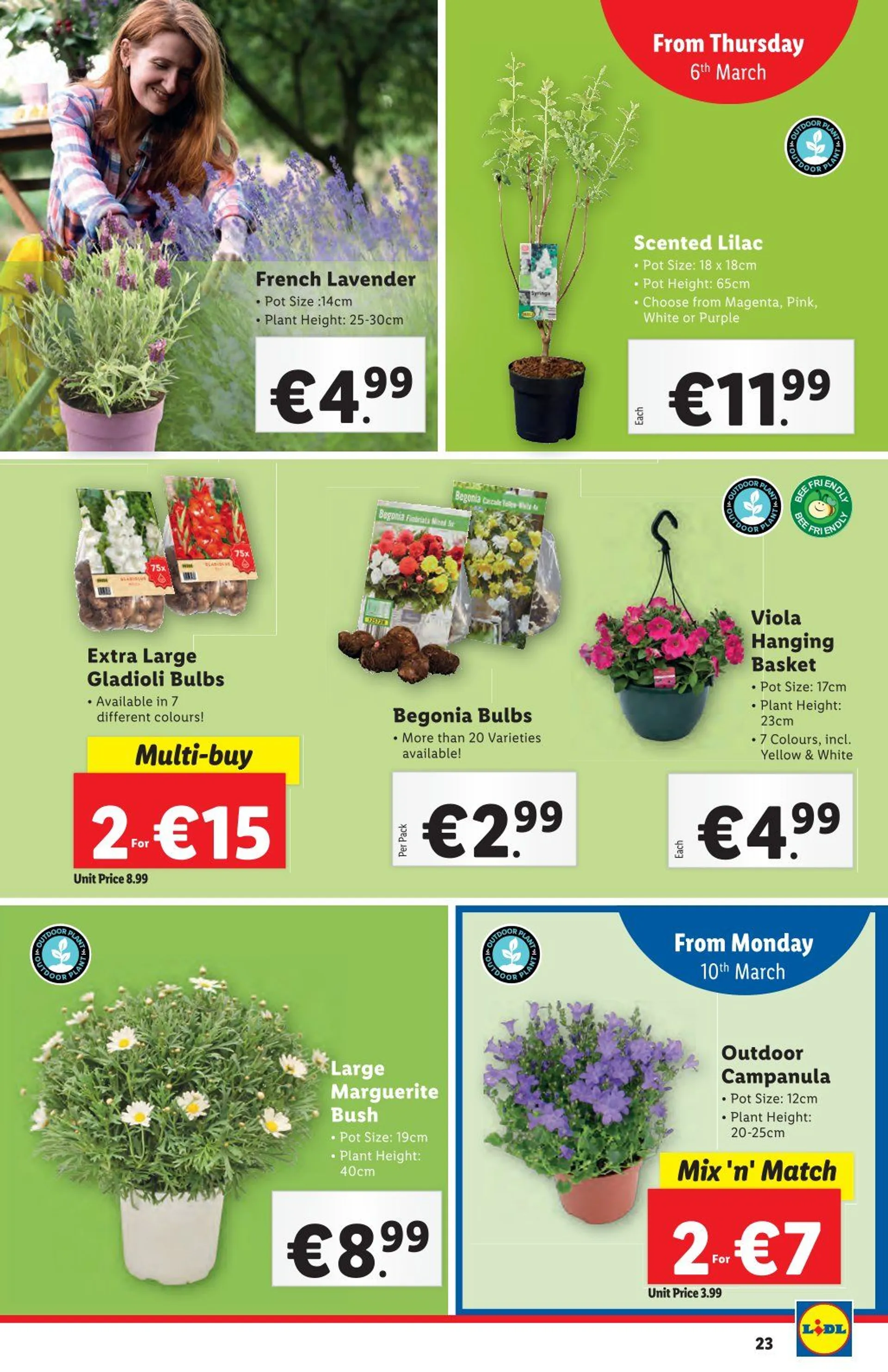 Lidl Sales - 6 March 12 March 2025 - Page 23