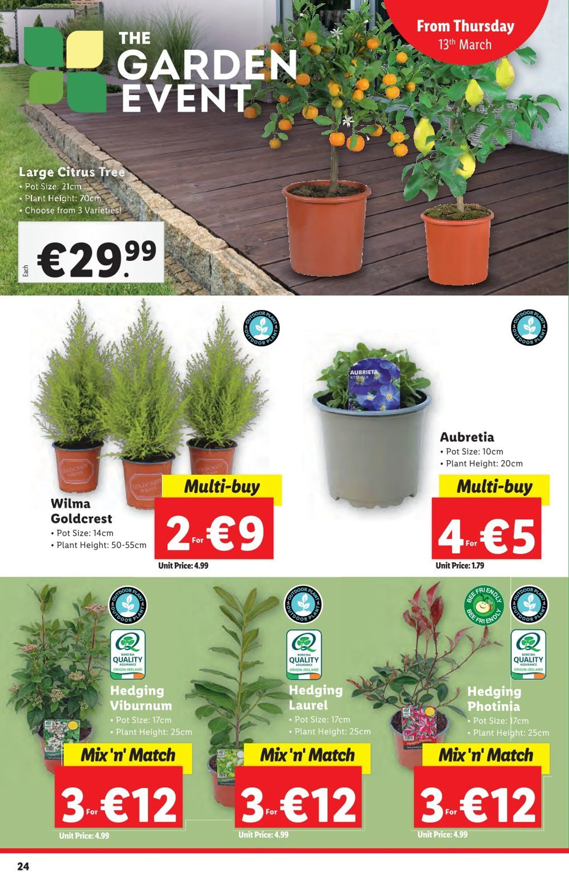 Lidl Sales - 13 March 19 March 2025 - Page 24