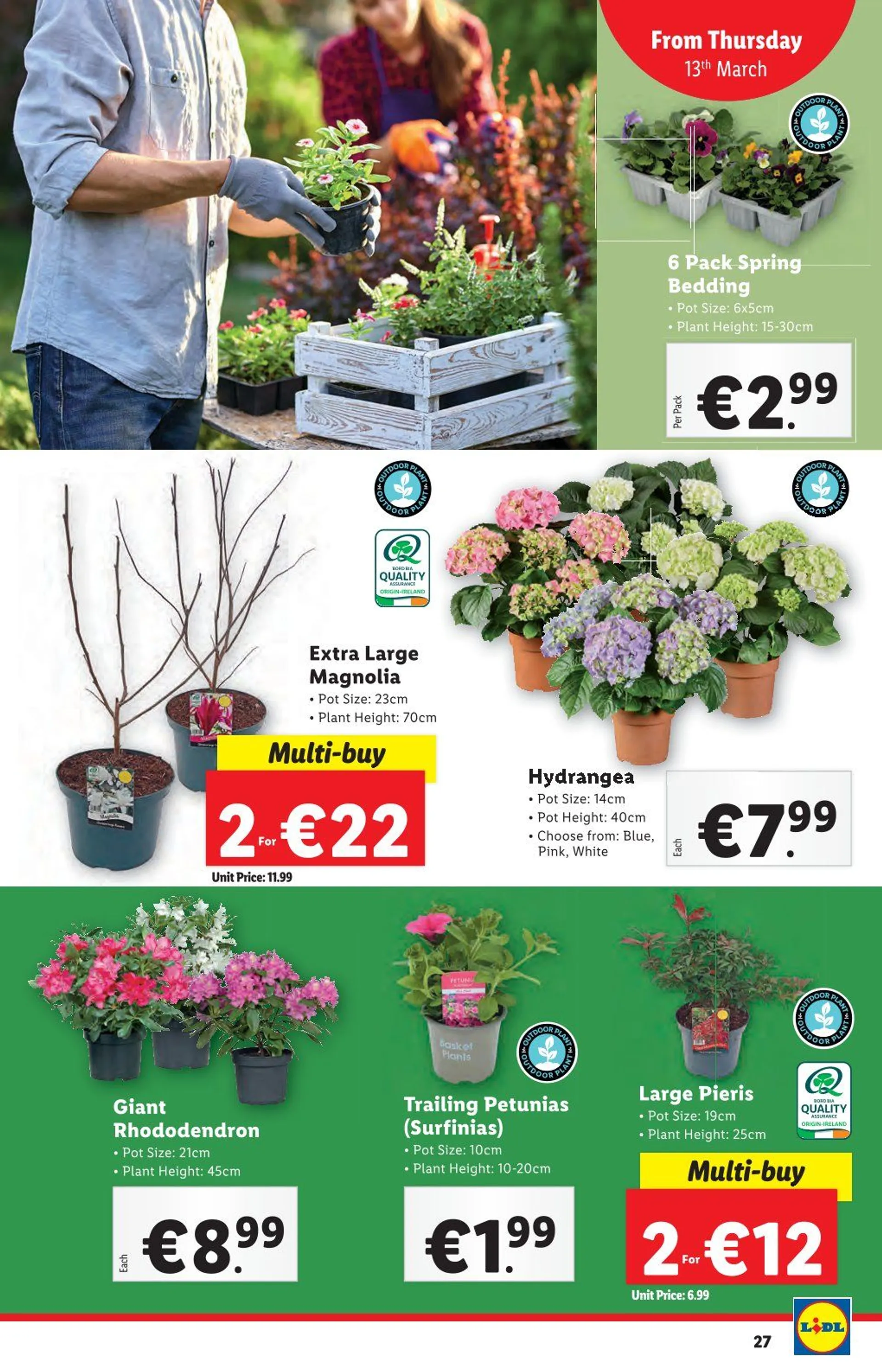 Lidl Sales - 13 March 19 March 2025 - Page 27