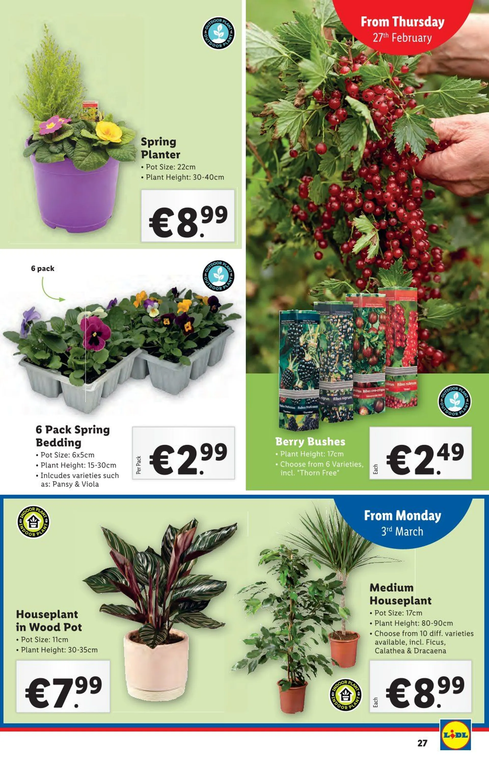 Lidl Sales - 27 February 5 March 2025 - Page 27