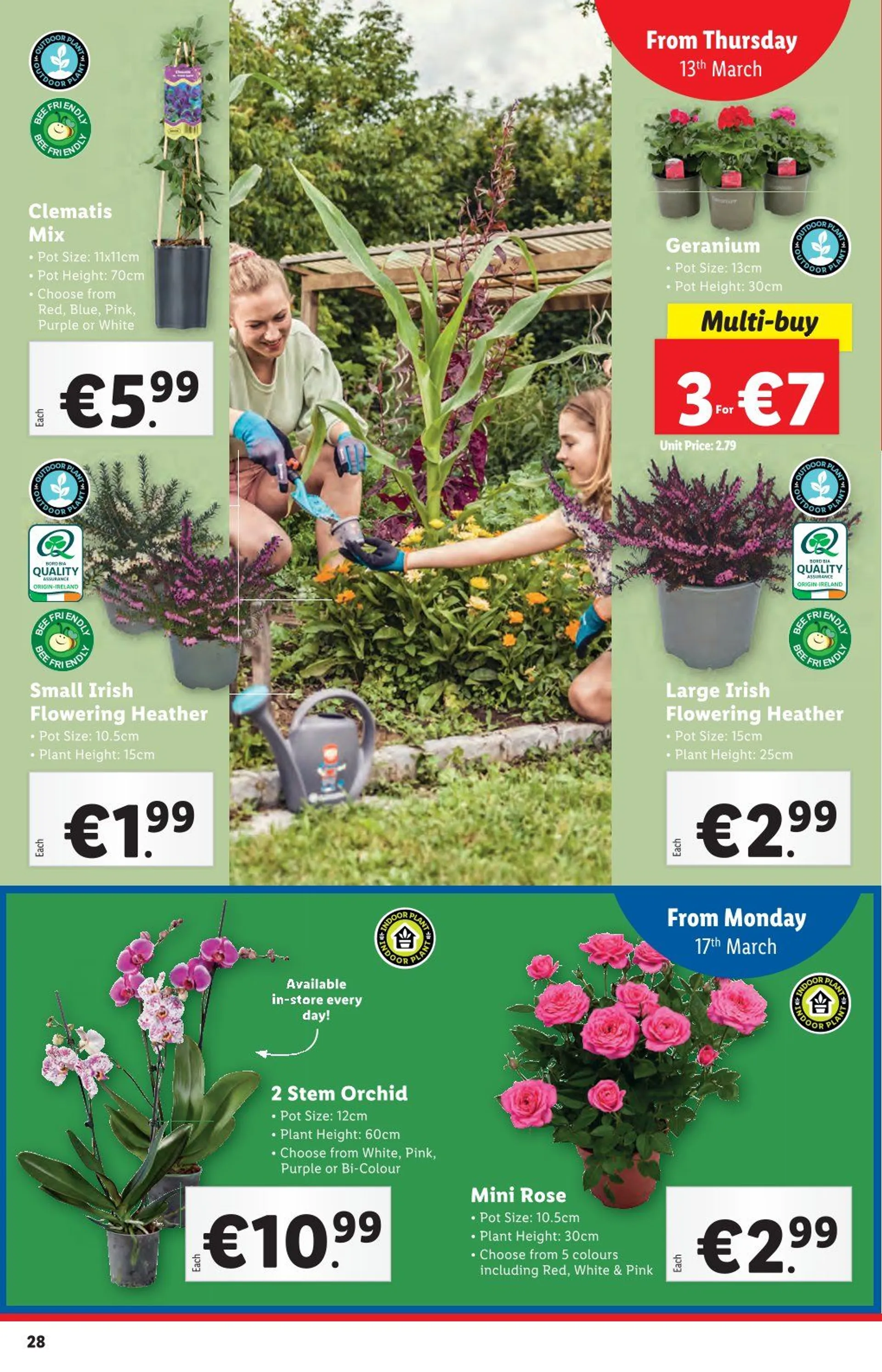 Lidl Sales - 13 March 19 March 2025 - Page 28