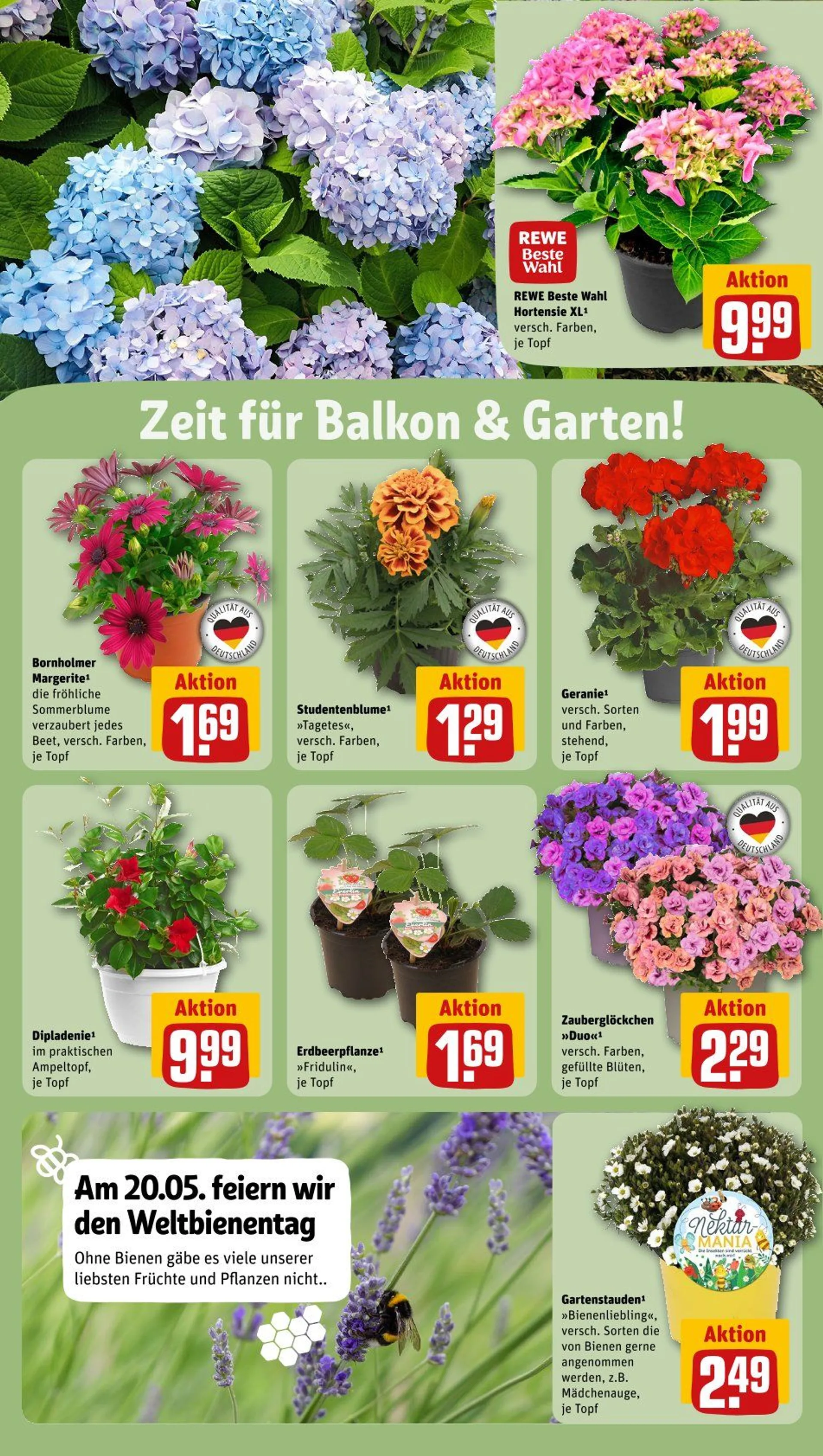 REWE Prospekt von 19. Mai bis 25. Mai 2025 - Prospekt seite 27