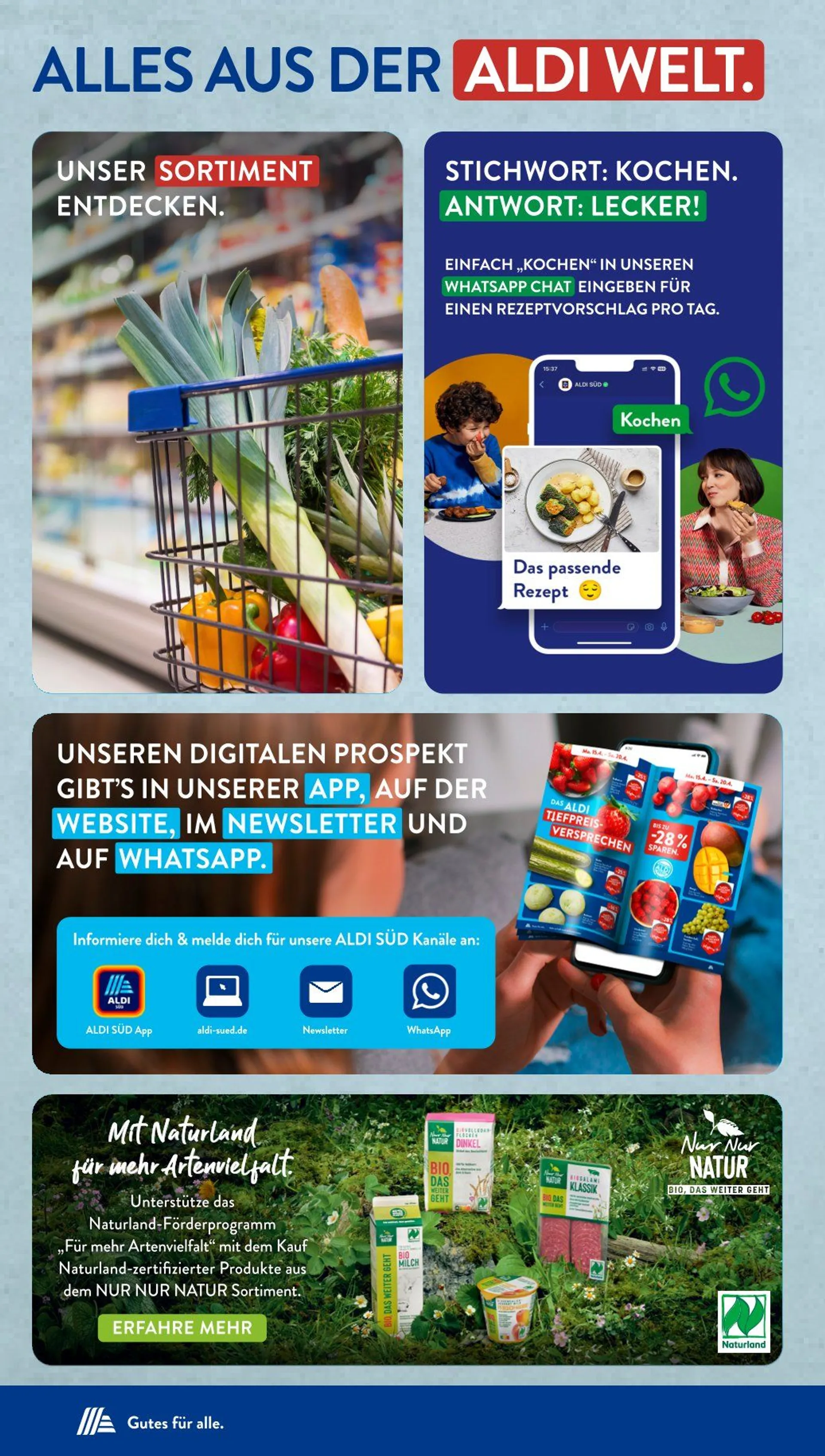 ALDI SÜD Prospekt von 20. Dezember bis 30. Dezember 2024 - Prospekt seite 31