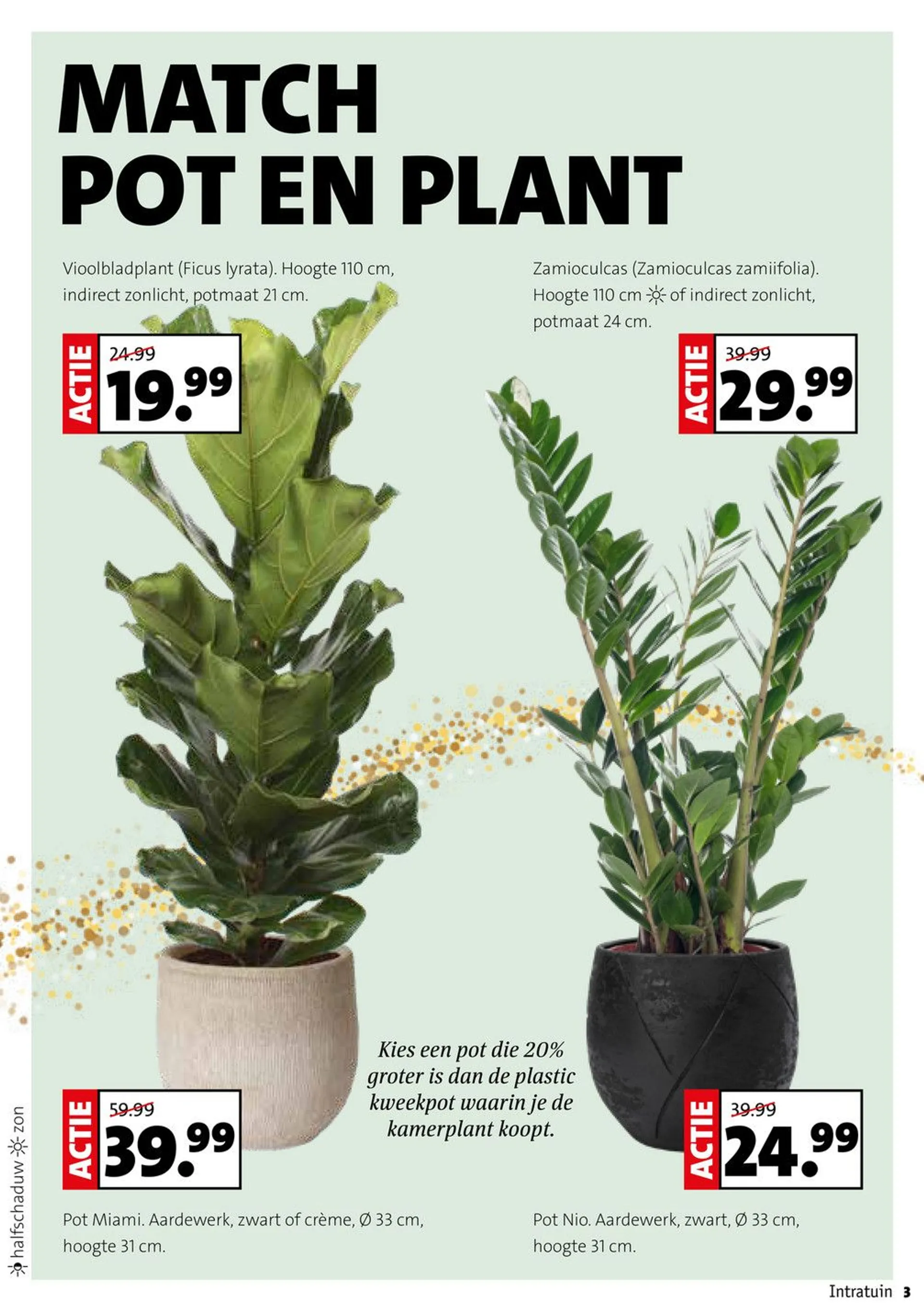 Intratuin deals bij Kerstmis van 23 december tot 29 december 2024 - Folder pagina 3