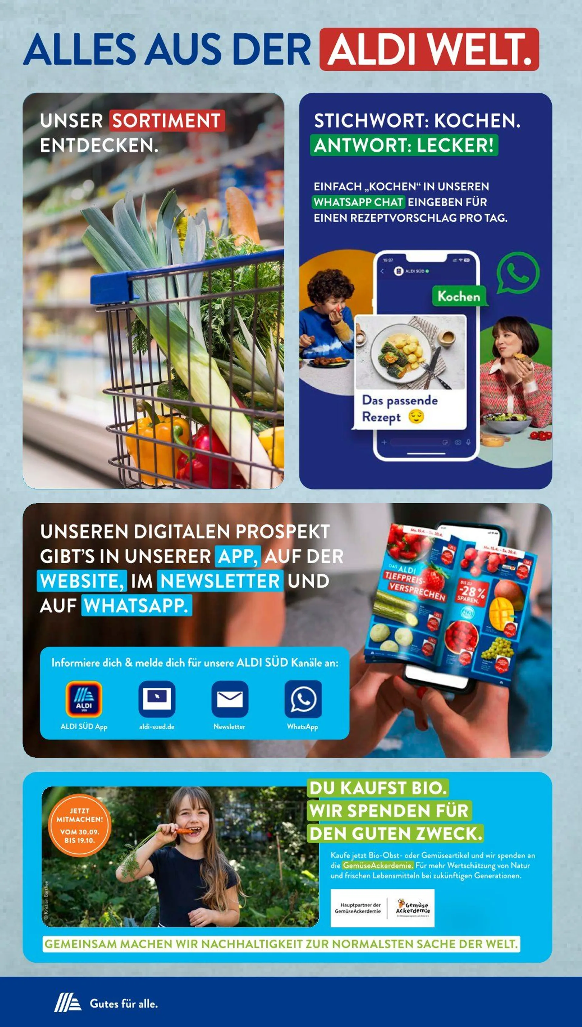 ALDI SÜD Angebote von 14. Oktober bis 19. Oktober 2024 - Prospekt seite 38