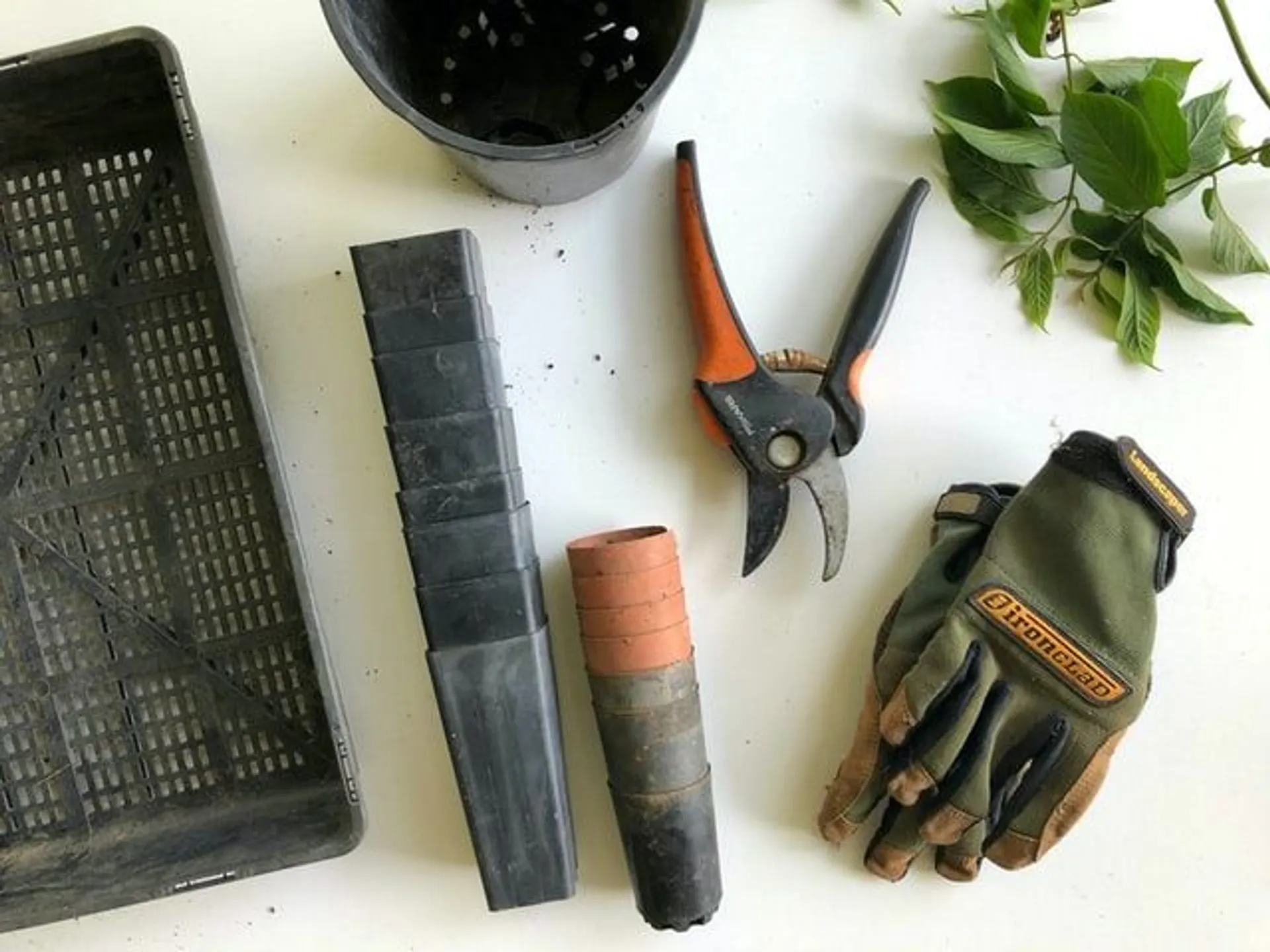 Algunas herramientas de jardín imprescindibles que debe comprar