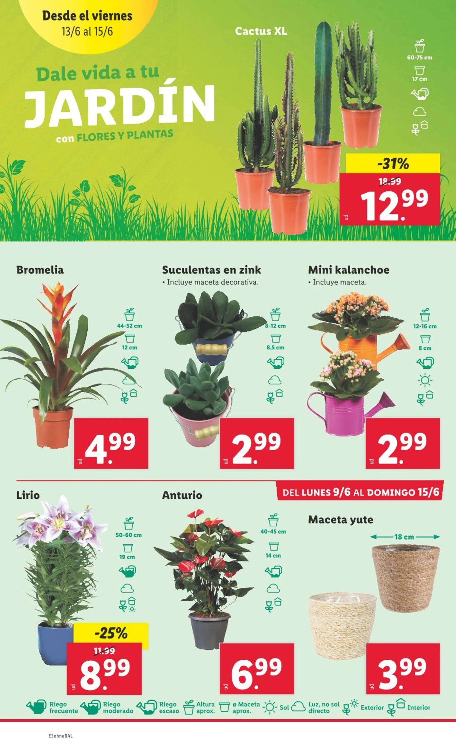 Catálogo de Ofertas 9 de junio al 15 de junio 2025 - Página 49