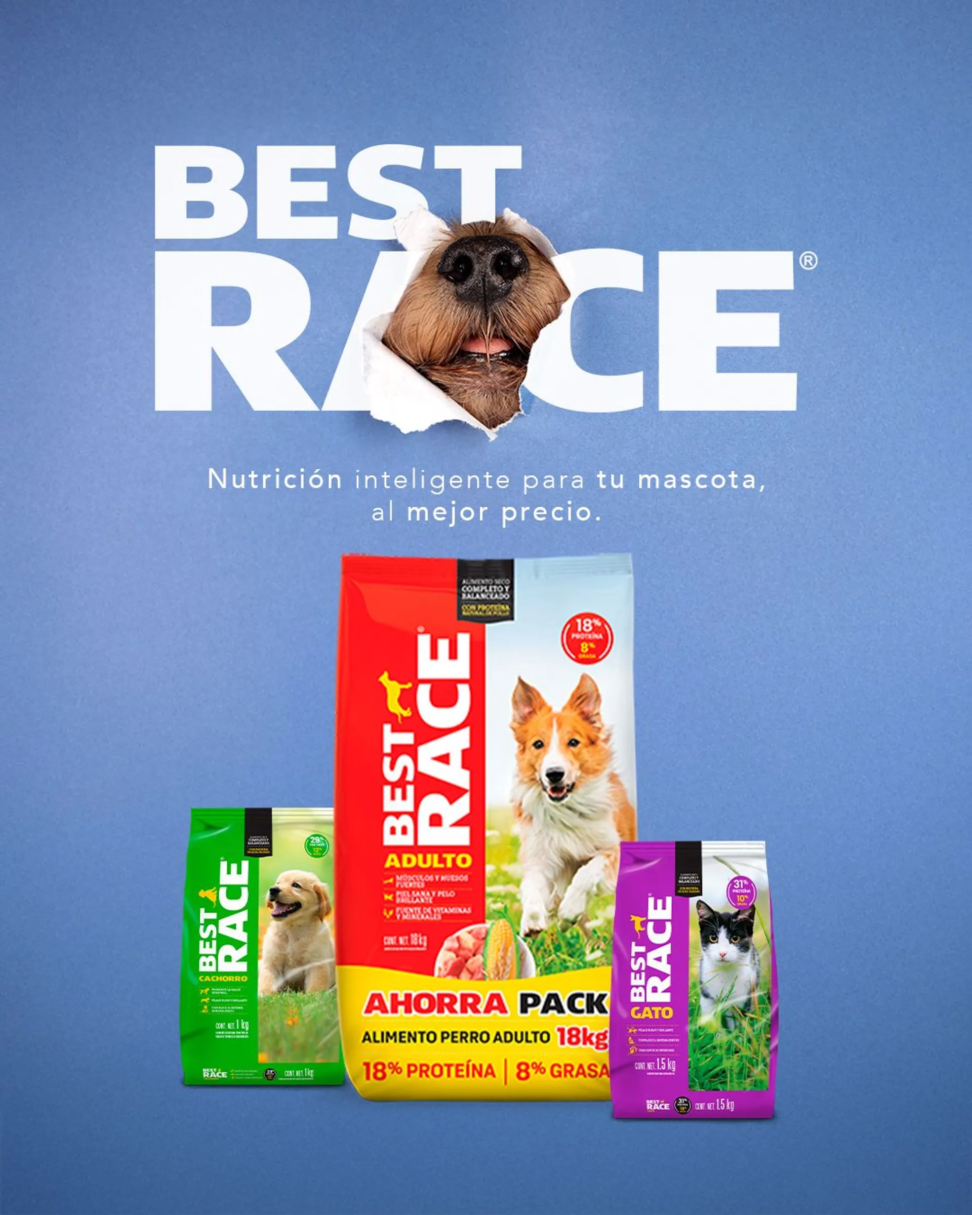 Catálogo de Tiendas Tres B Ofertas 26 de mayo al 29 de mayo 2025 - Pagina 