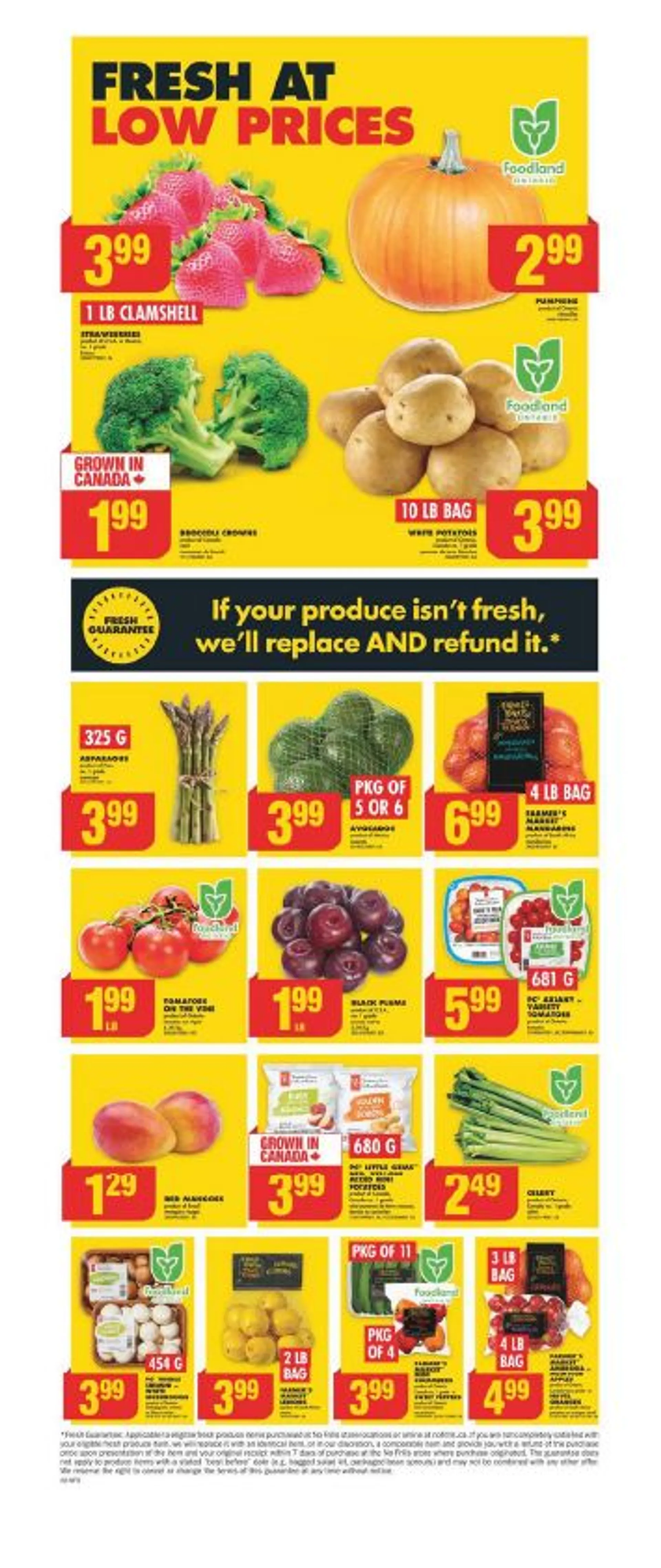 No Frills Weekly Ad from October 9 to October 16 2024 - flyer page 4