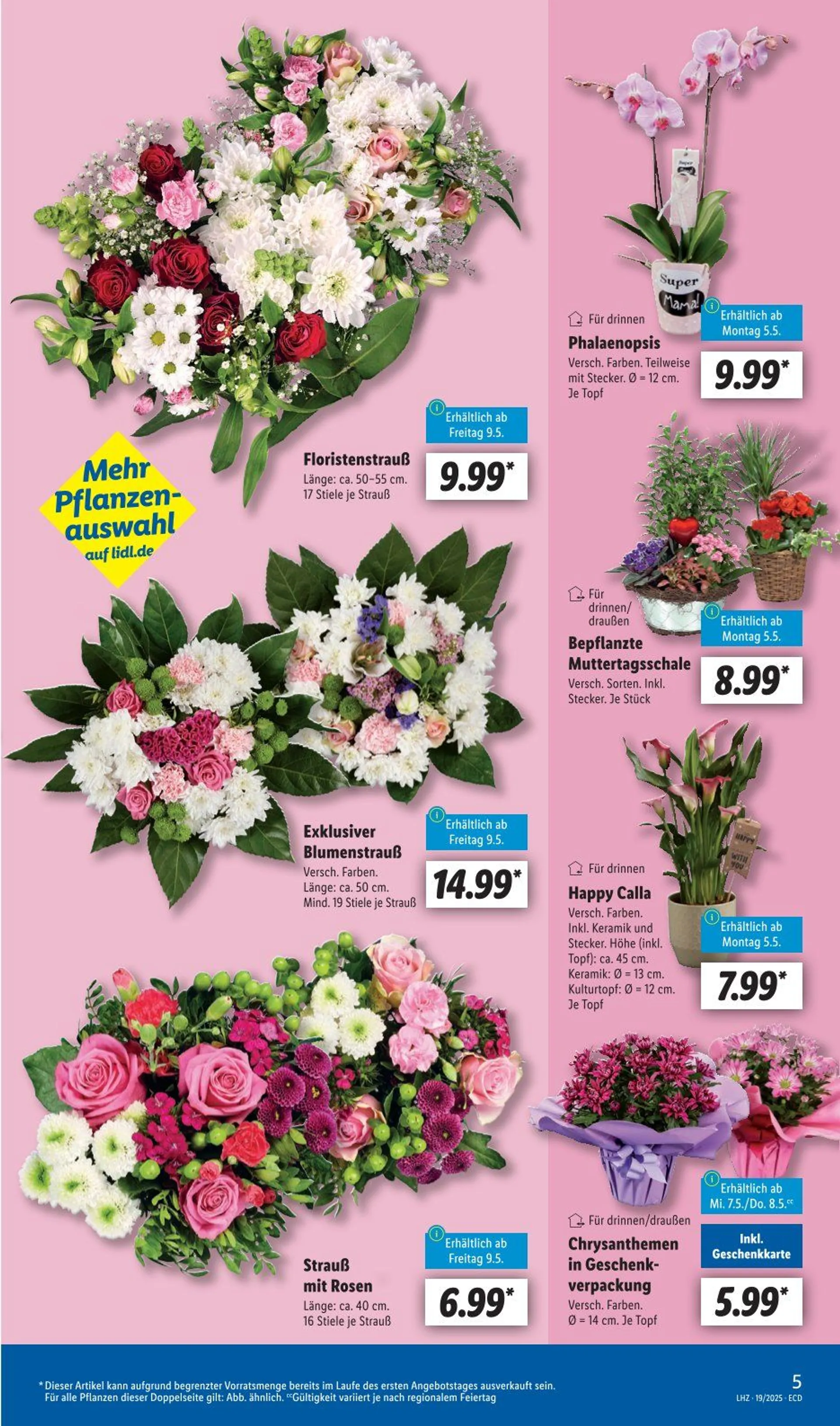 Lidl Prospekt von 5. Mai bis 10. Mai 2025 - Prospekt seite 5