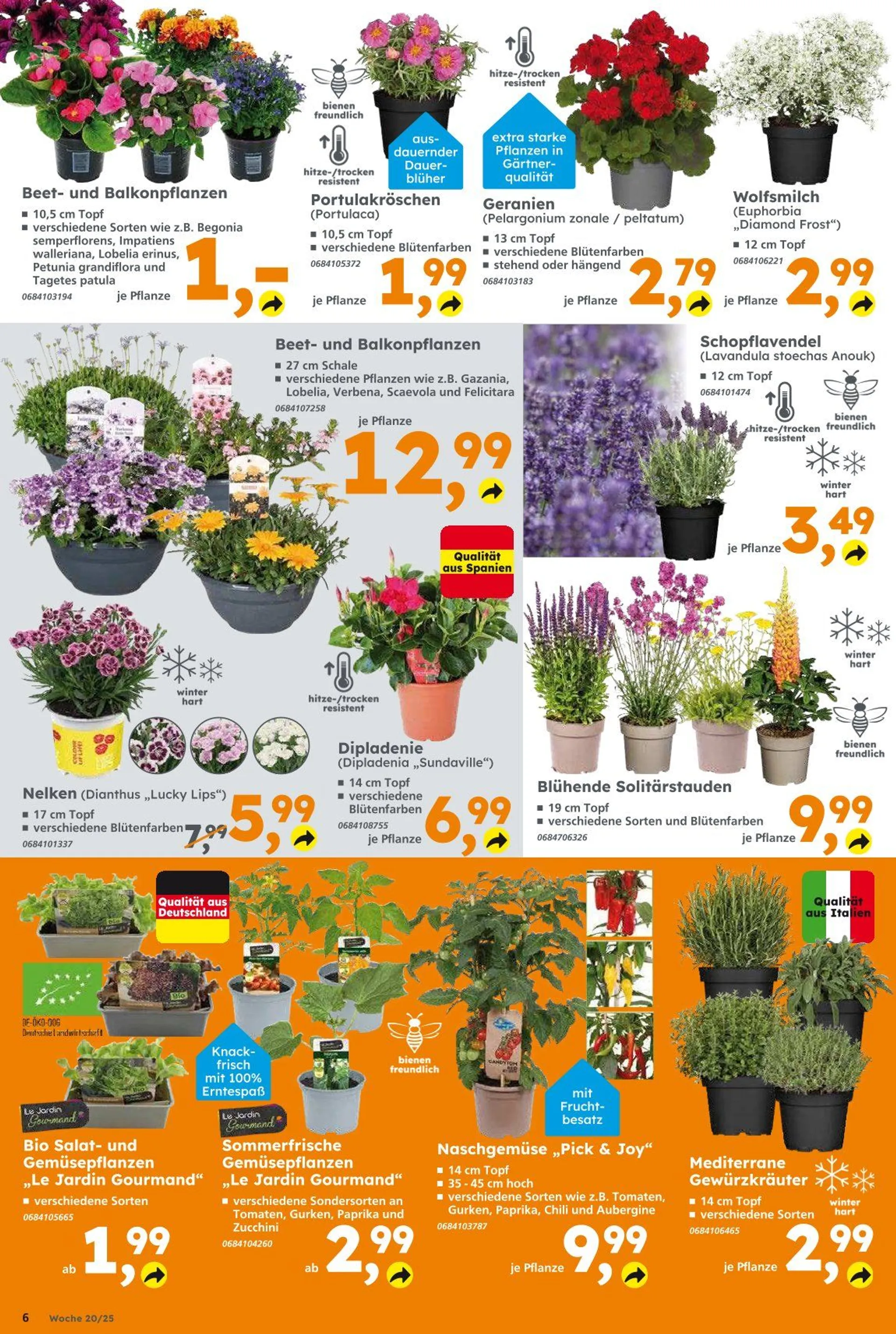 Globus Baumarkt Prospekt von 11. Mai bis 17. Mai 2025 - Prospekt seite 6