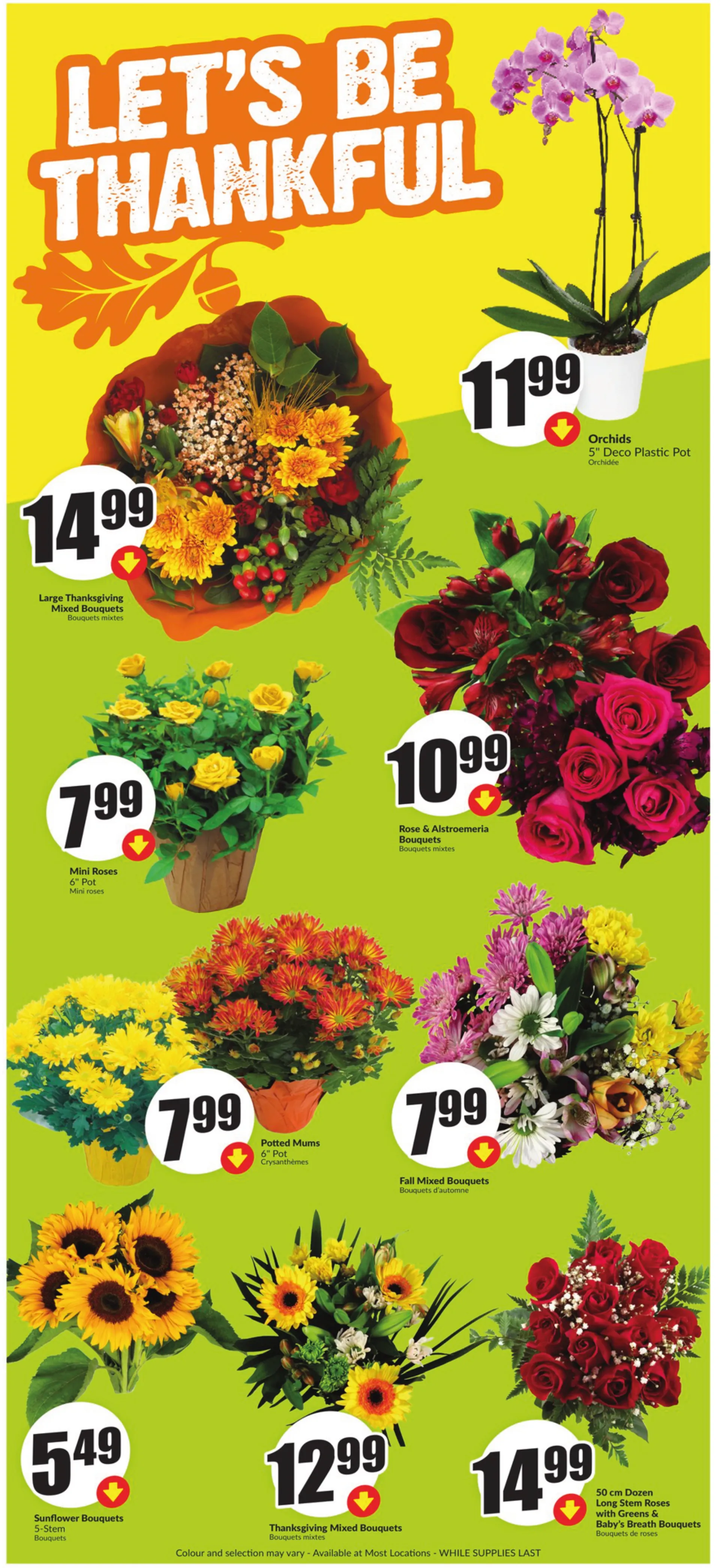 Freshco Clearance Sale from October 2 to October 9 2024 - flyer page 5