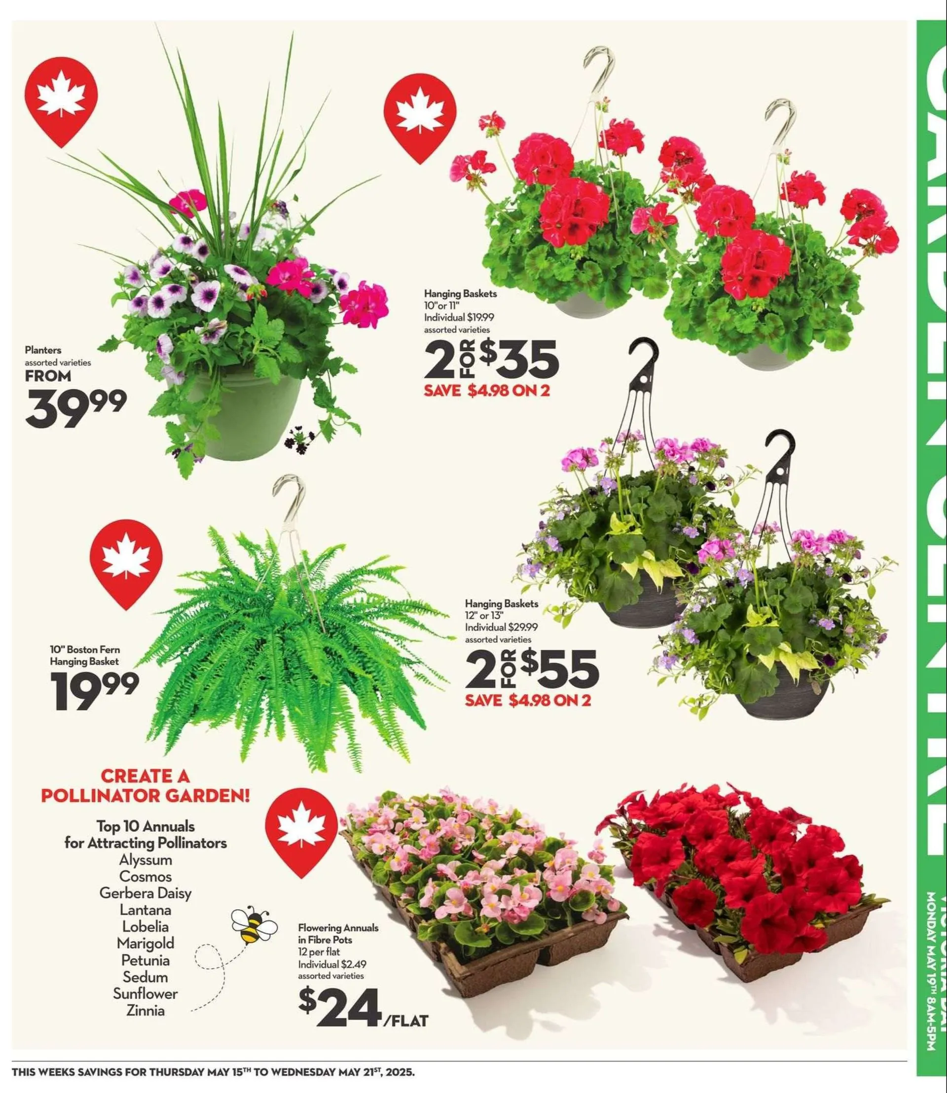 Longo's Deals from May 15 to May 21 2025 - flyer page 7