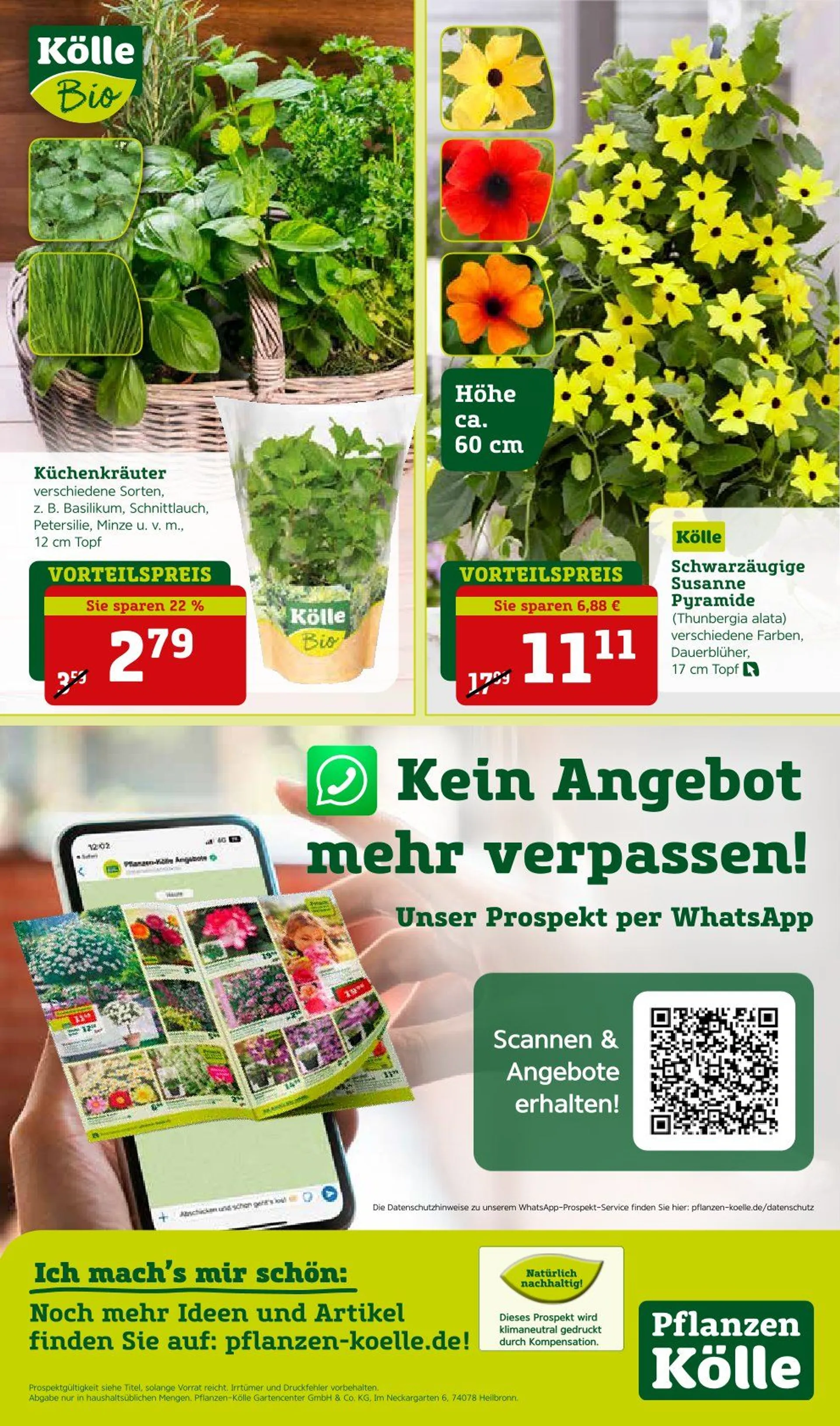 Pflanzen-Kölle Prospekte  von 16. Mai bis 18. Mai 2025 - Prospekt seite 2