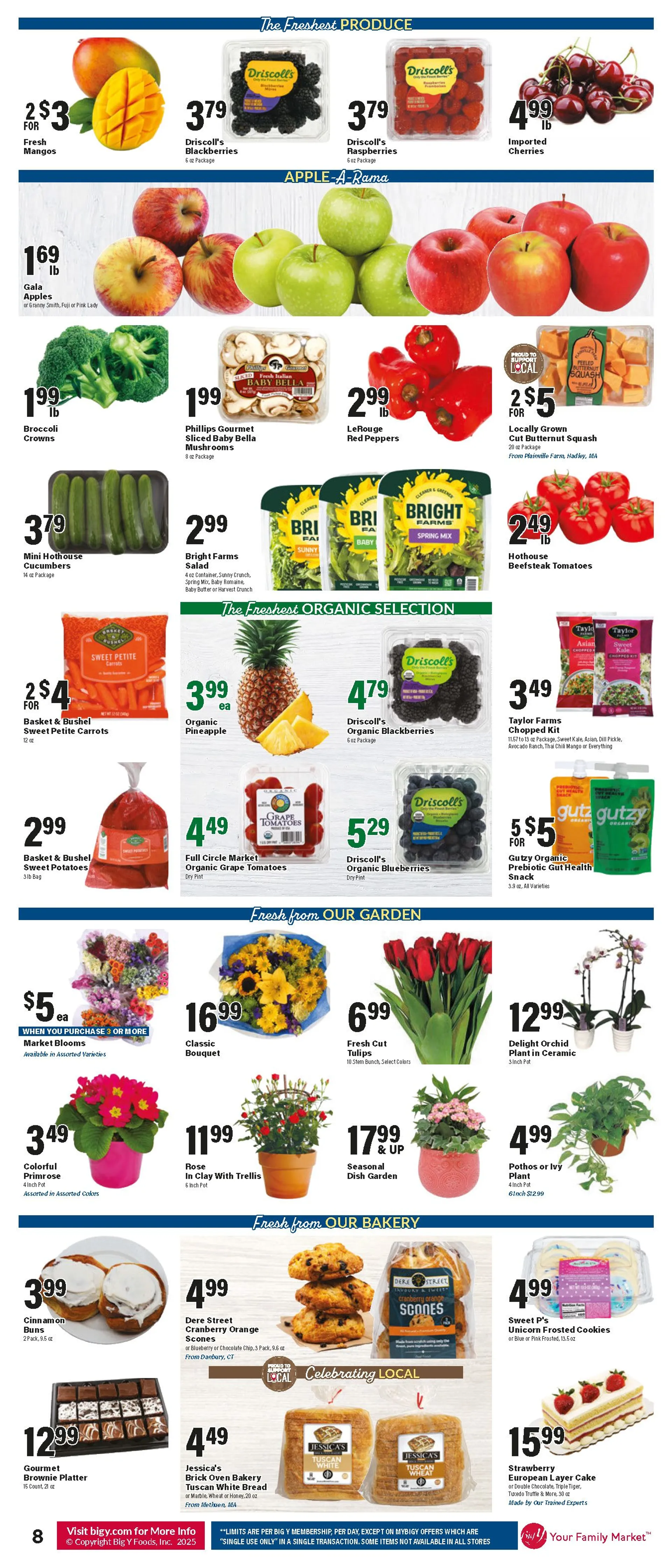 Weekly ad Big Y Sales from January 9 to January 15 2025 - Page 9