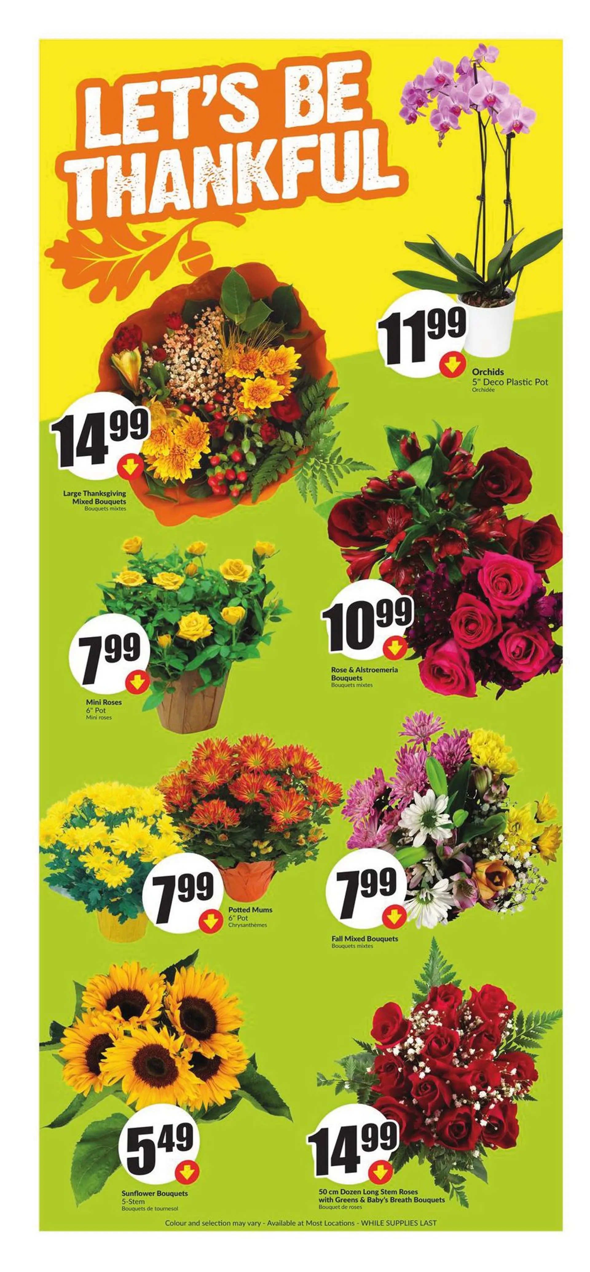 Weekly Ad FreschCo from October 9 to October 16 2024 - flyer page 4