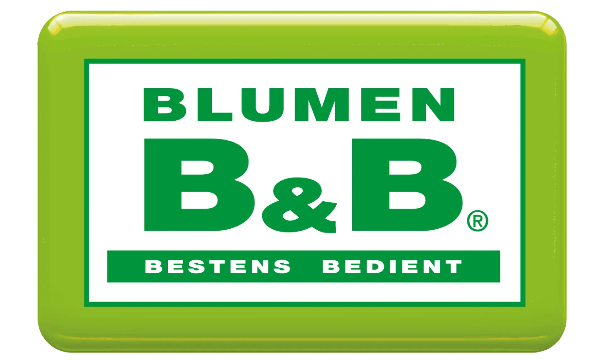 BLUMEN B&B logo die aktuell Flugblatt