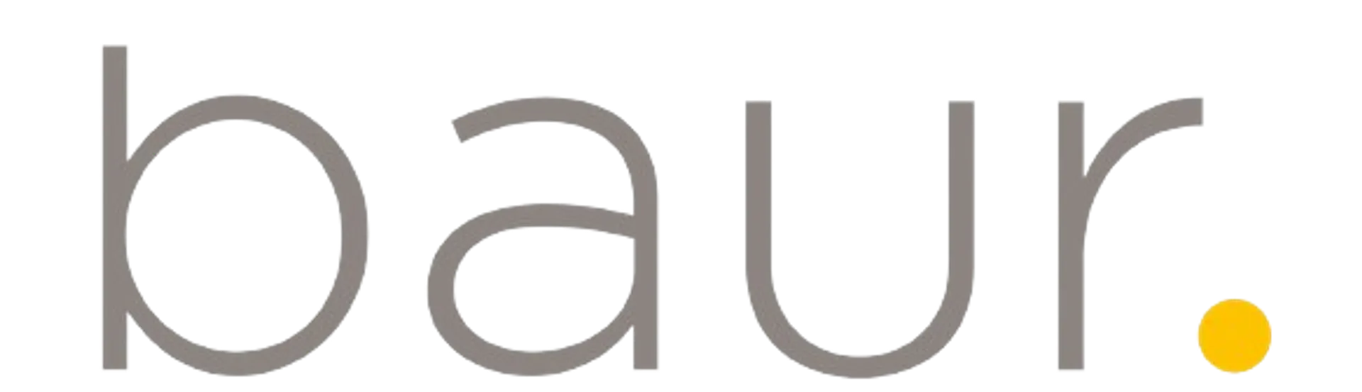 BAUR logo die aktuell Flugblatt