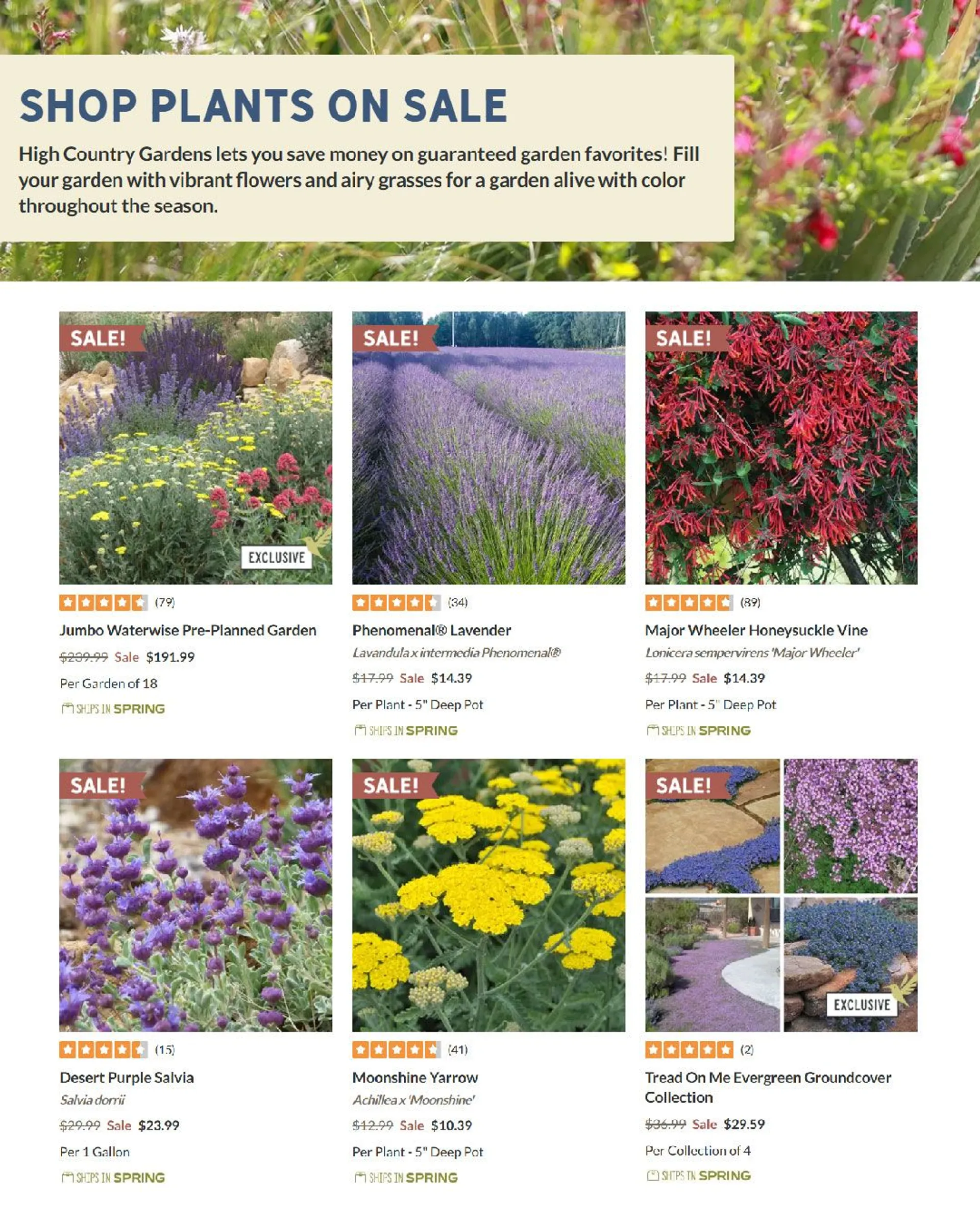 Weekly ad High Country Gardens Sales from December 5 to December 19 2024 - Page 