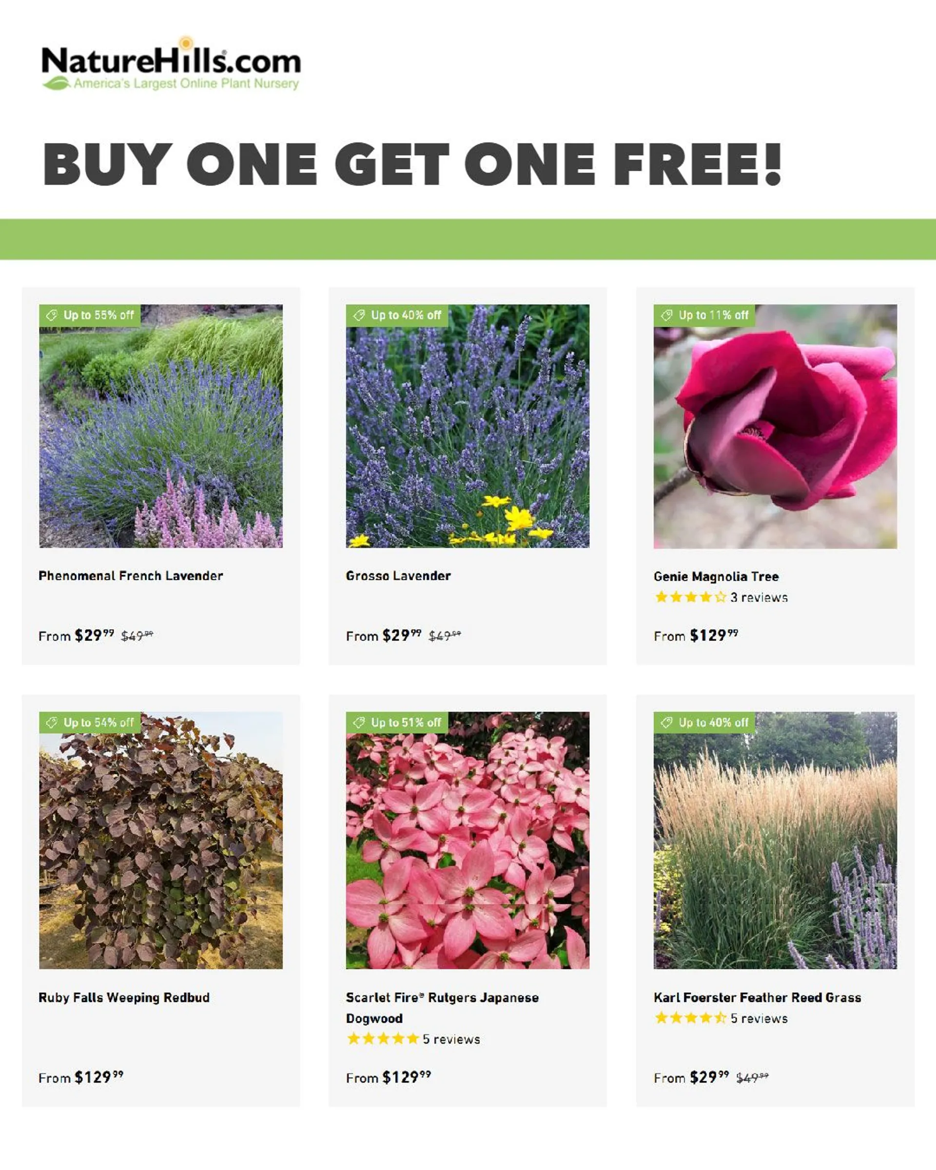 Weekly ad Nature Hills Nursery Sales from November 20 to December 5 2024 - Page 