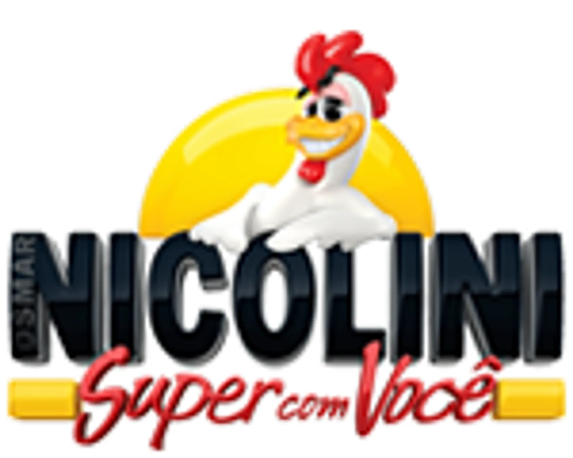 SUPER NICOLINI logo