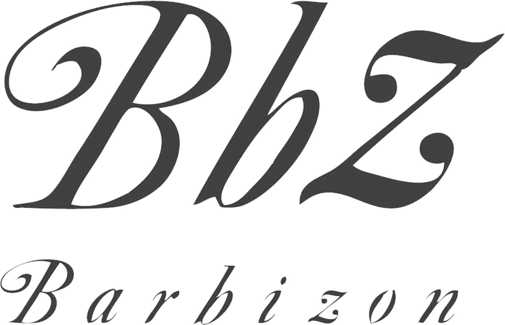 BARBIZON logo