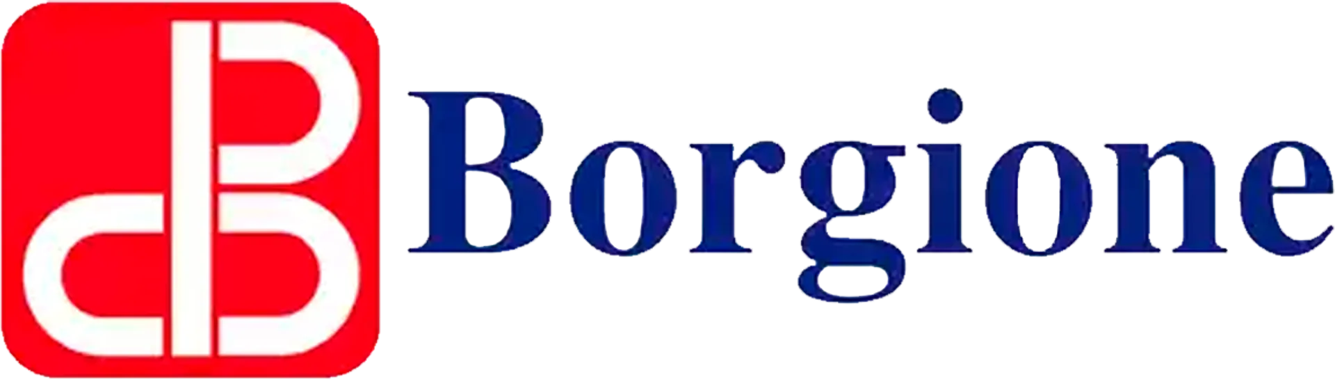 BORGIONE logo