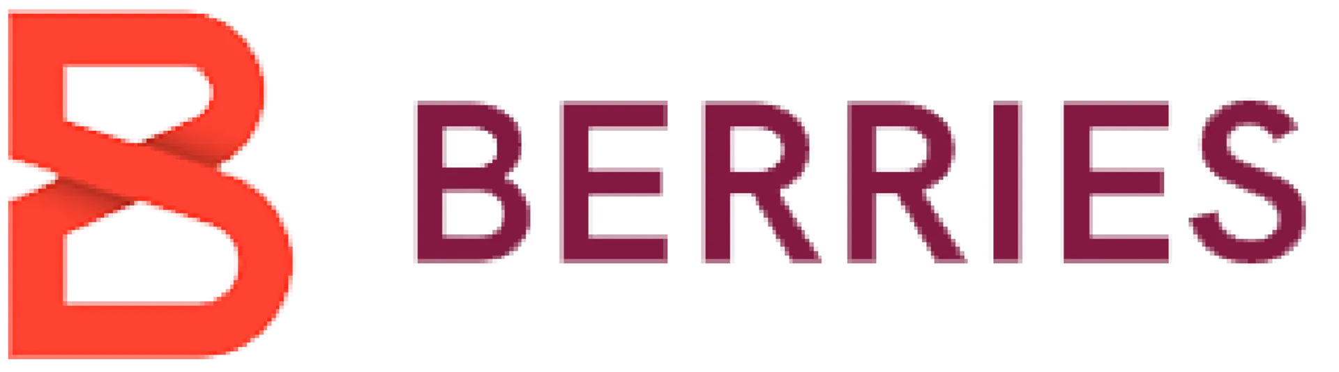 BERRIES MARKET logo