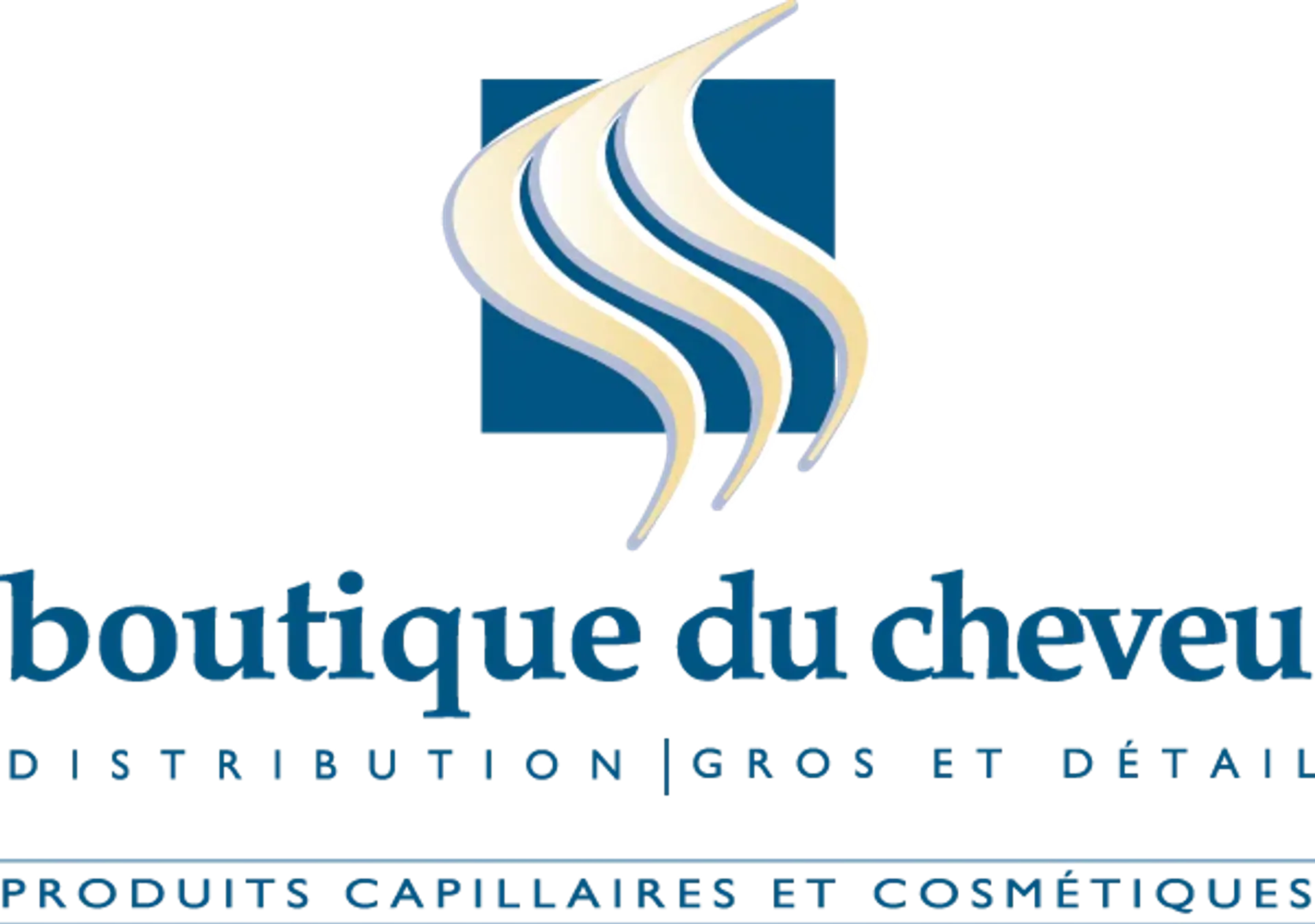 BOUTIQUE DU CHEVEUX logo de circulaires