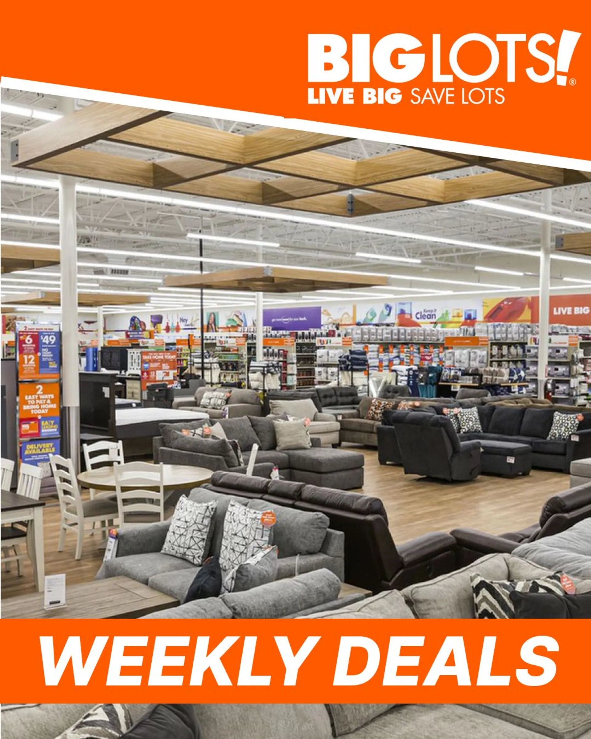 Weekly ad Big Lots! - Bargains from January 24 to January 29 2023 - Page 1