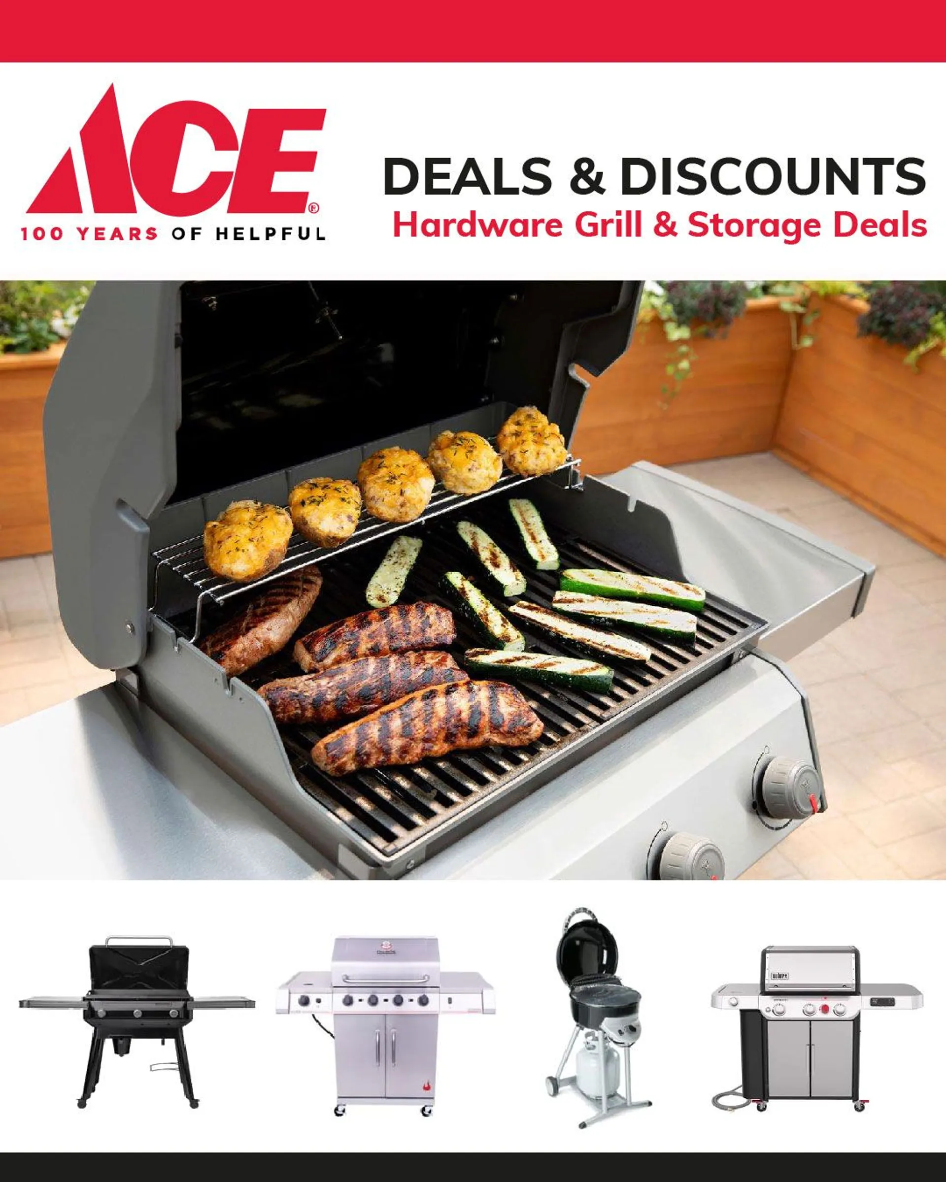 Weekly ad ACE Hardware Grill & Storage Deals from June 15 to June 20 2024 - Page 1